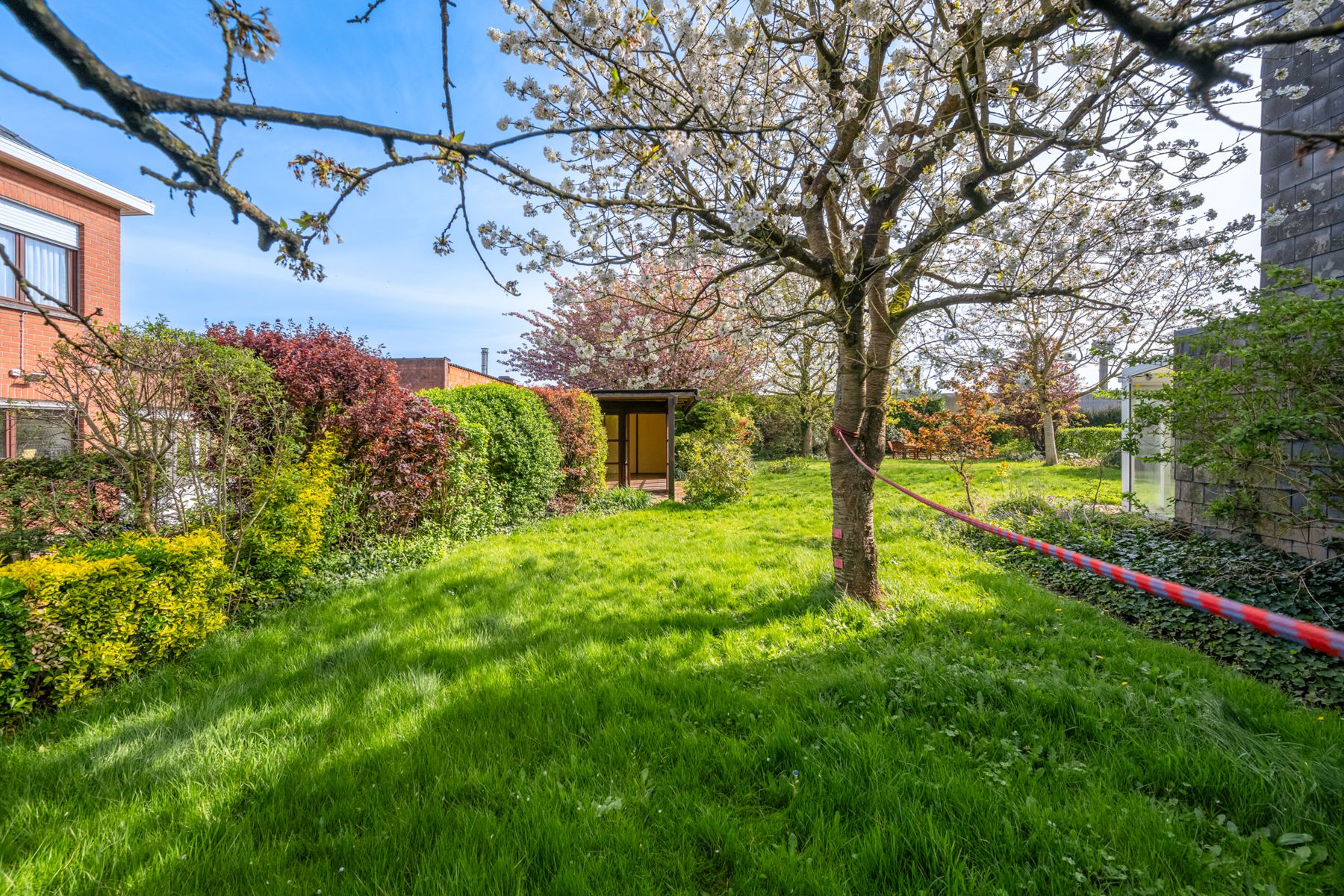 KWENENBOS: perfect gelegen bouwlot voor HOB foto 4