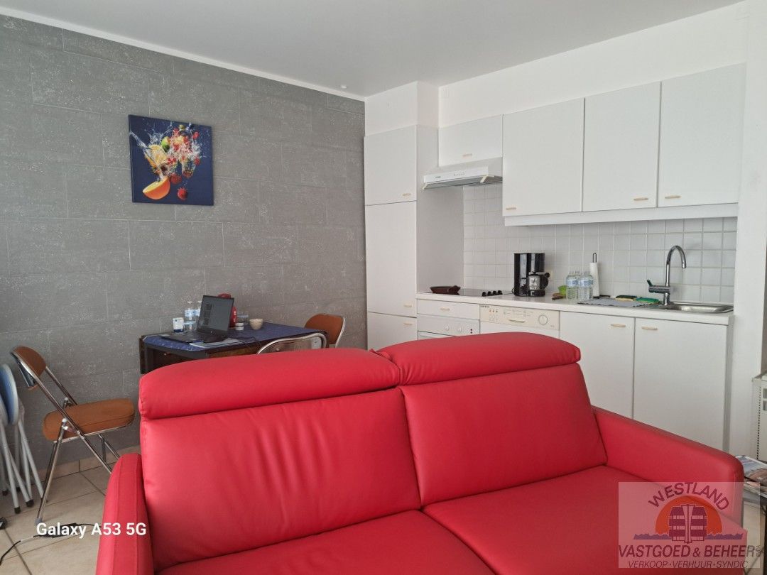 Knusse studio op het gelijkvloers in hartje Nieuwpoort-Bad foto 8