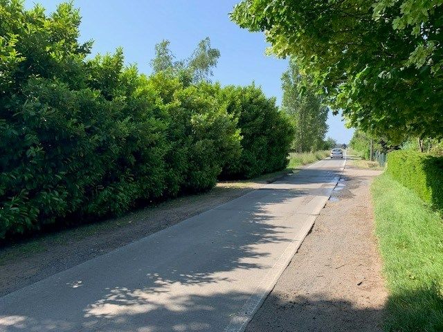 Te renoveren landelijke hoeve op prachtig perceel grond van ca. 2 hectare foto 7