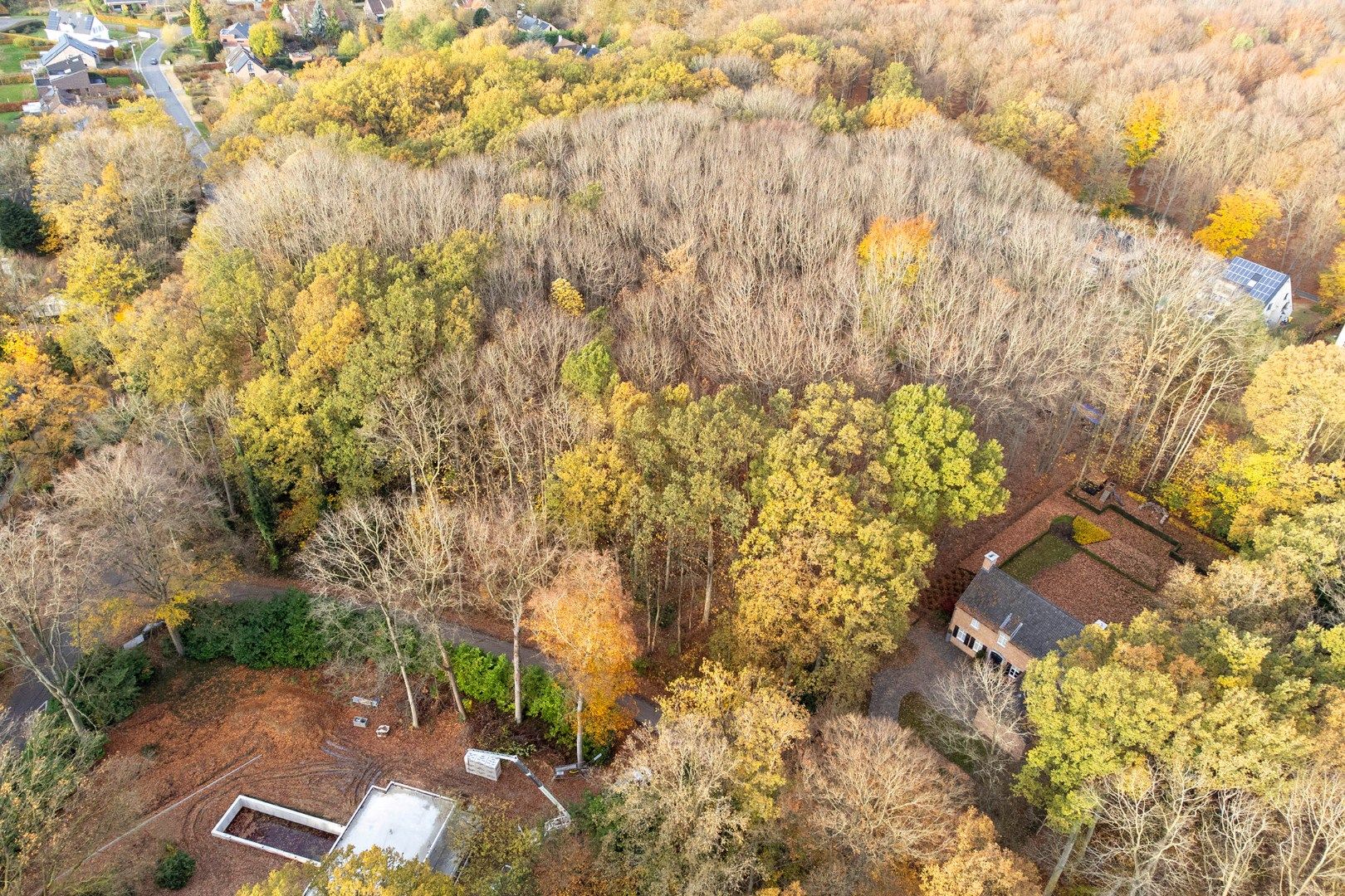 Prachtige bouwgrond van 22a 63ca te koop op een toplocatie in Hoog-Linden!  foto 5