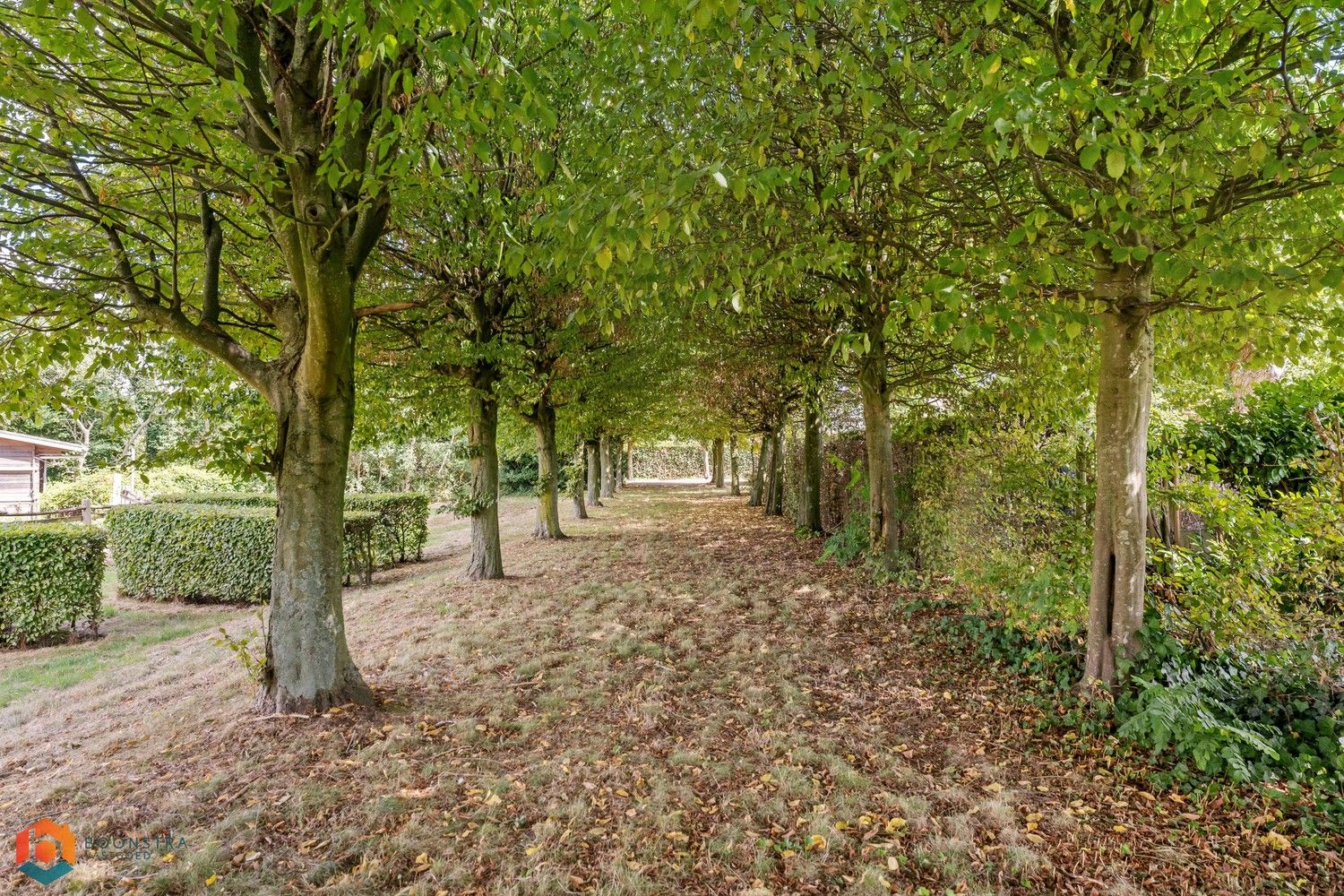 Prachtige villa met weide en paardenstal op een perceel van 4985m² te Kontich foto 30