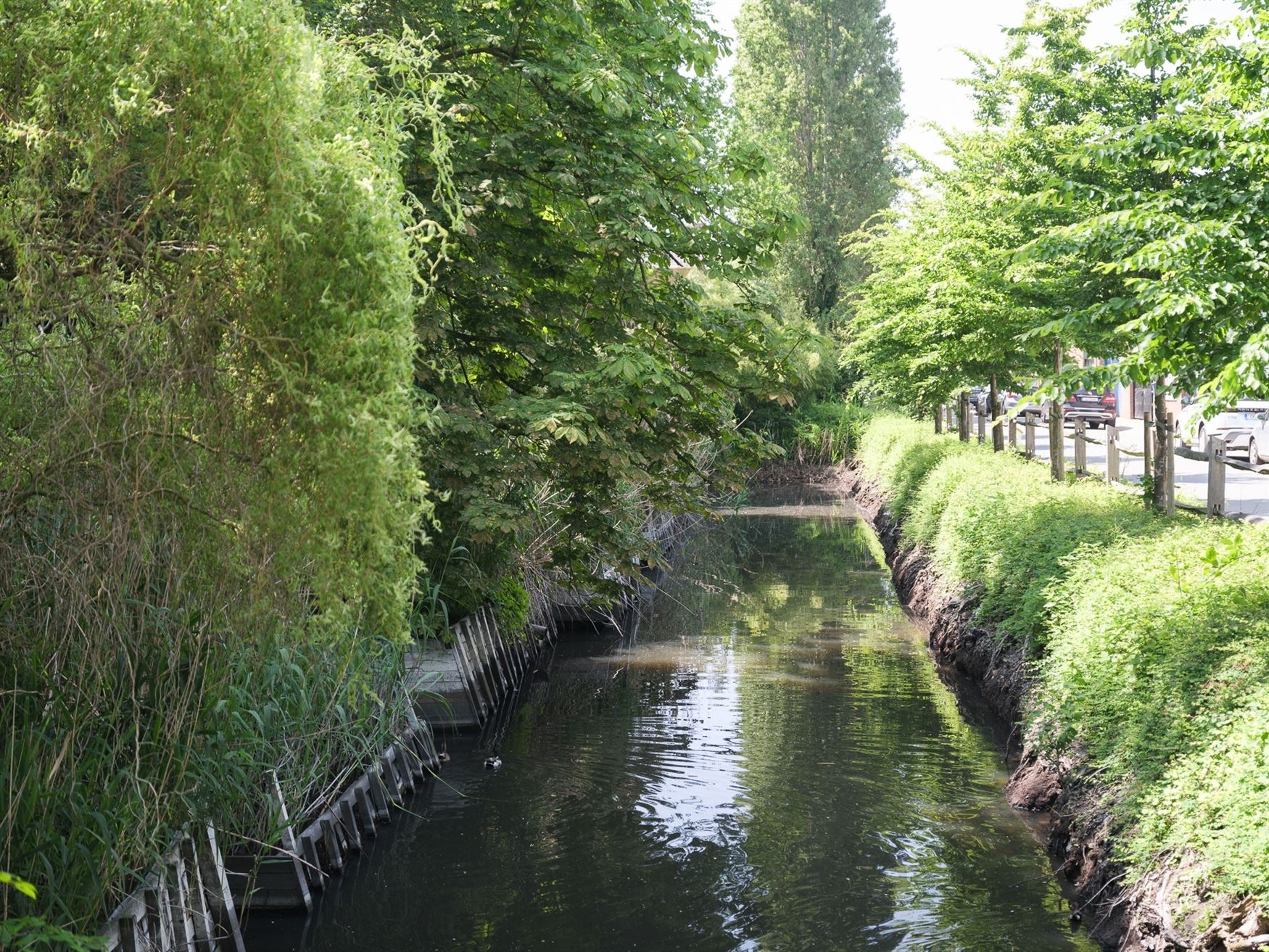 Majestueus hoekpand met mogelijkheden foto 15