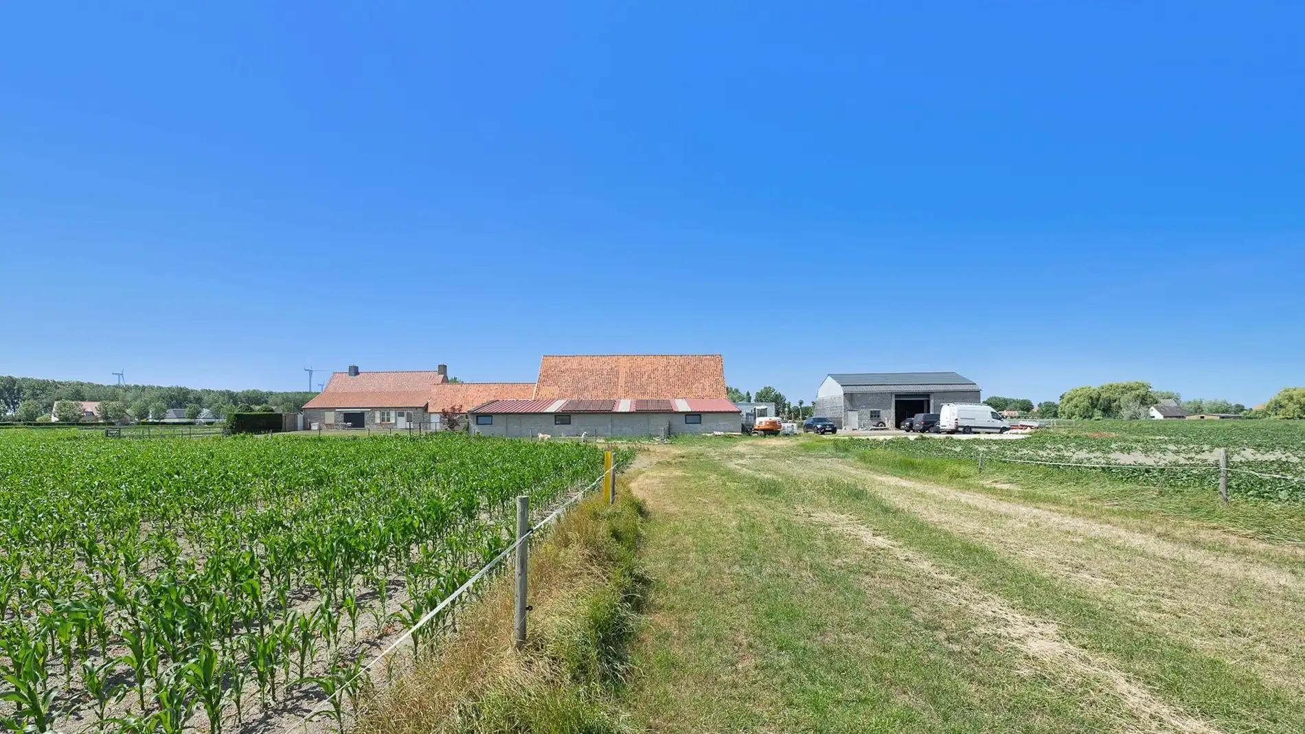 Idyllisch gelegen hoeve op bijna 5ha te Knokke-Heist foto 14