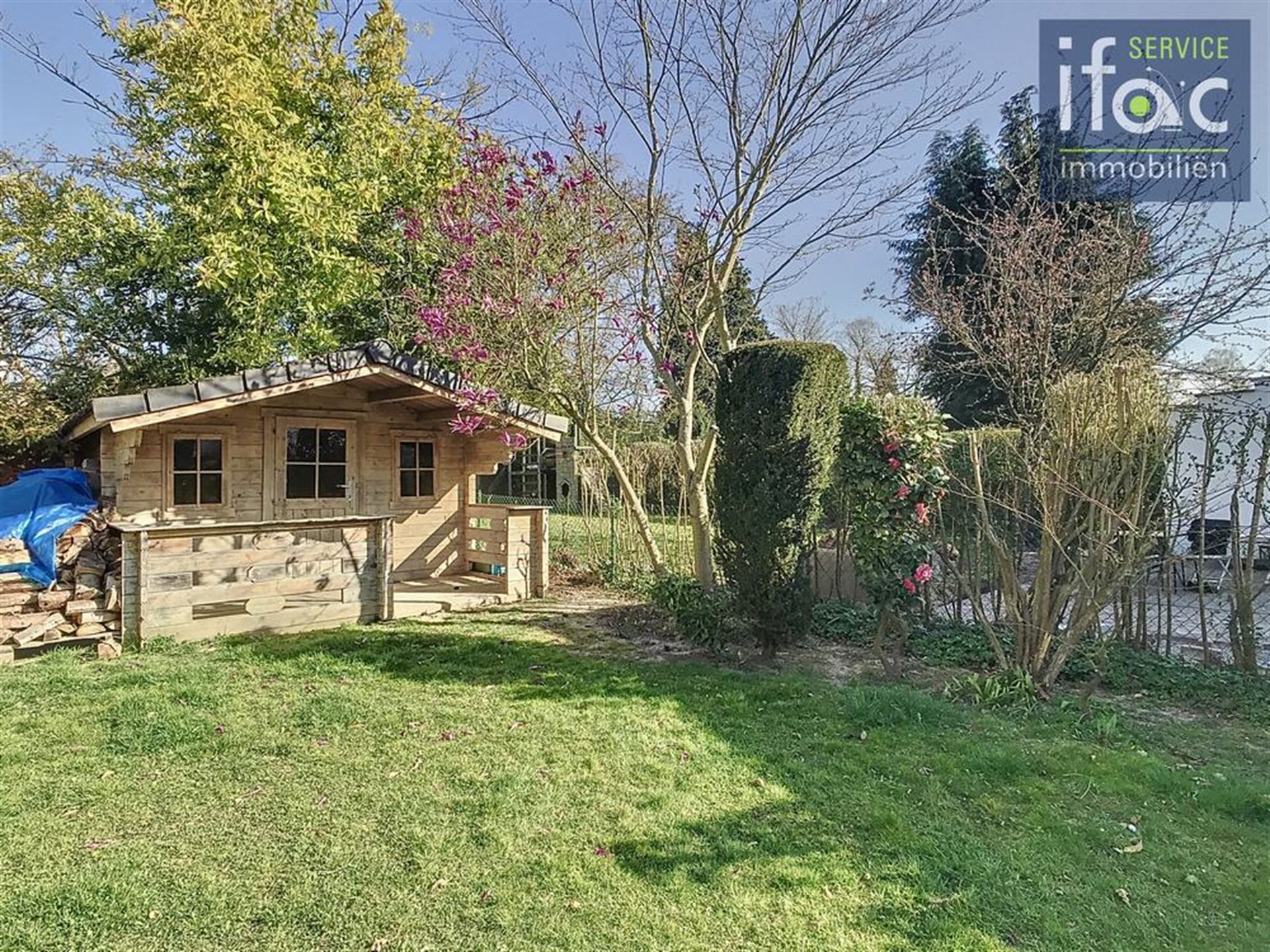 Villa foto 6