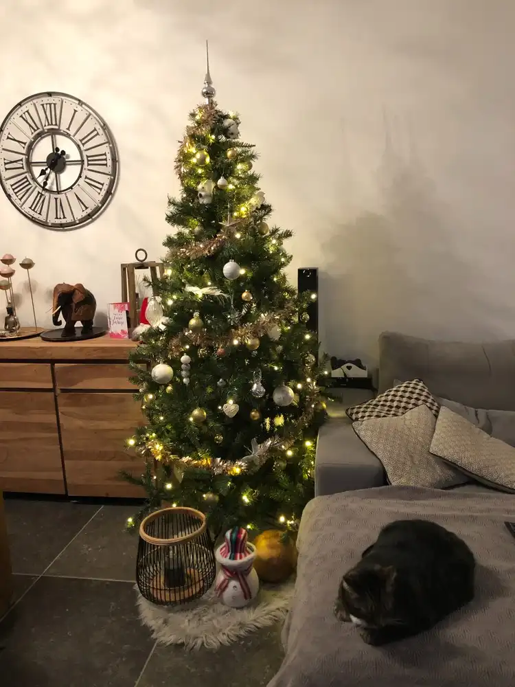 Brugge centrum, Instapklaar degelijk gerenoveerd energiezuinig  lichtrijk woonhuis  met 3 slaapkamers en koer foto 9