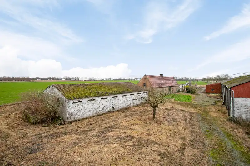 Uniek landelijk domein van ca. 10.000 m² met mogelijkheid tot nieuwbouw in Landegem foto 7