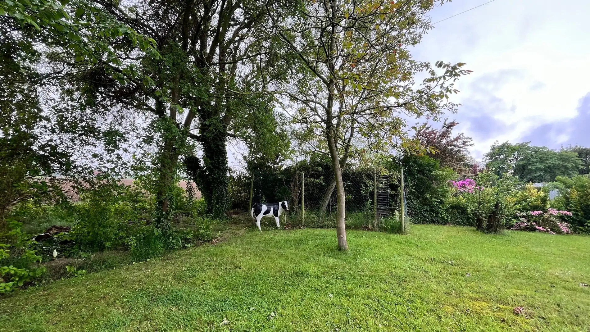 Bouwgrond in Heule van 668 m² foto 4
