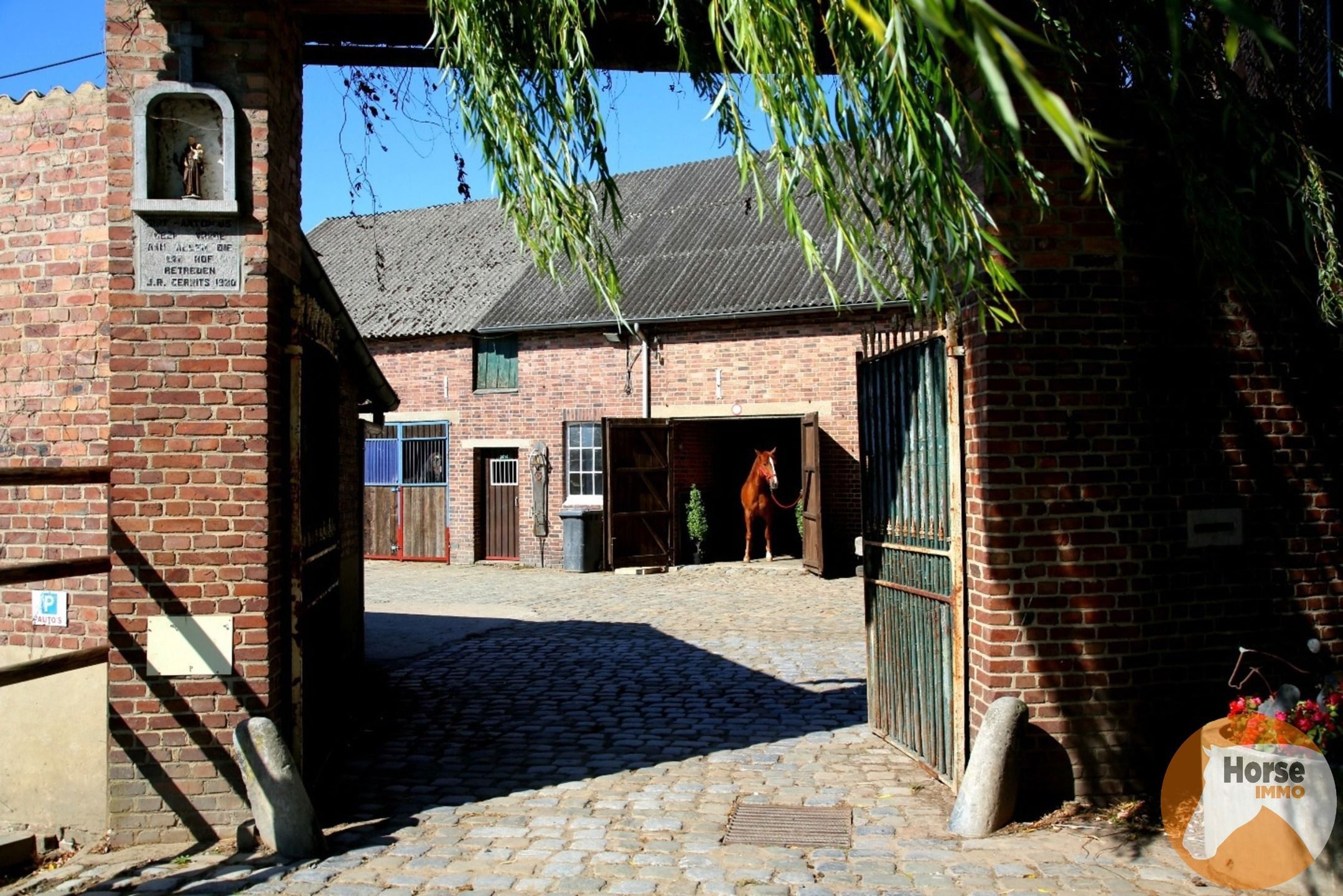 HASSELT (Kortessem) - Manege met veel potentieel! foto 3