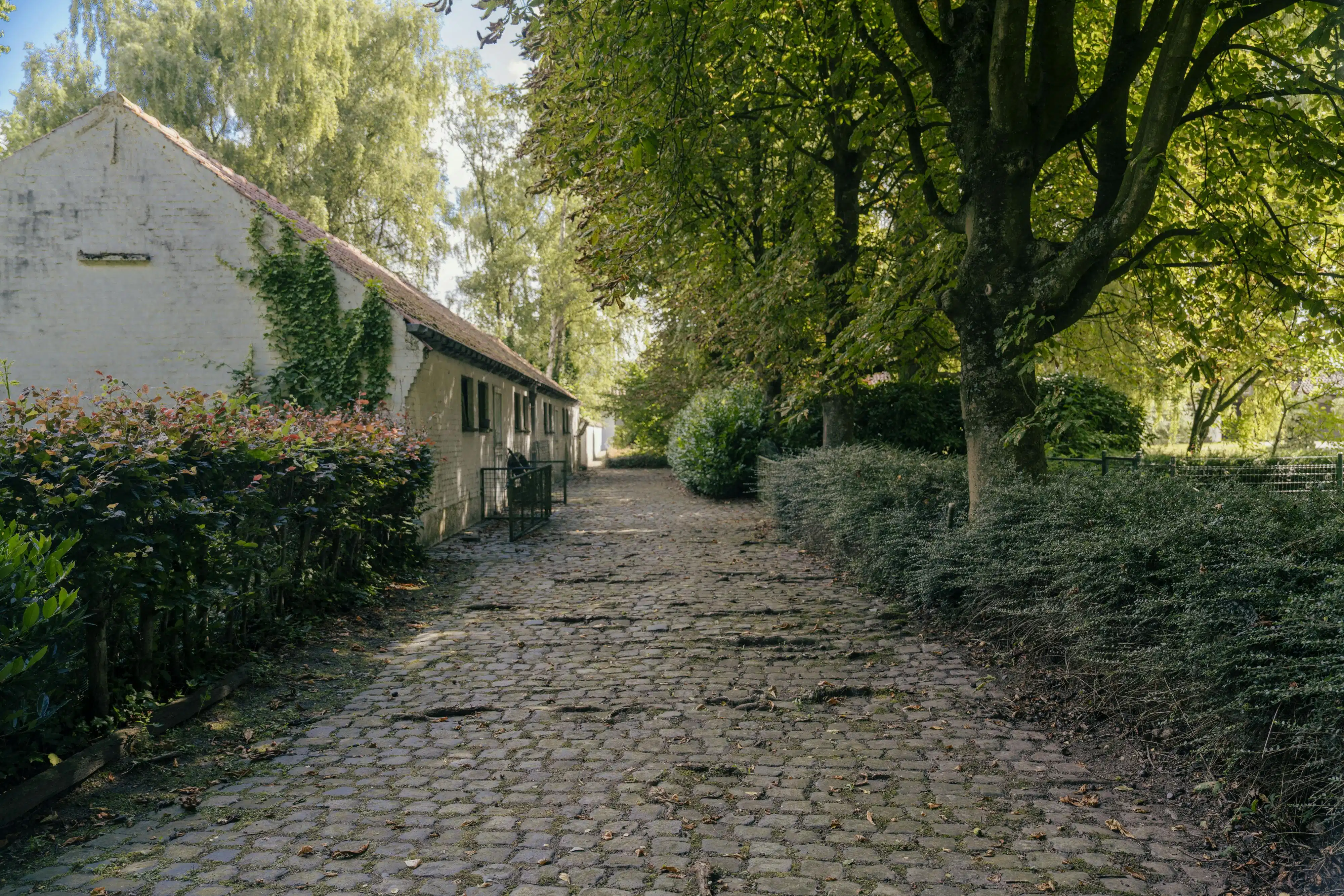 Unieke villa met vijver te koop aan de rand van Roeselare foto 32