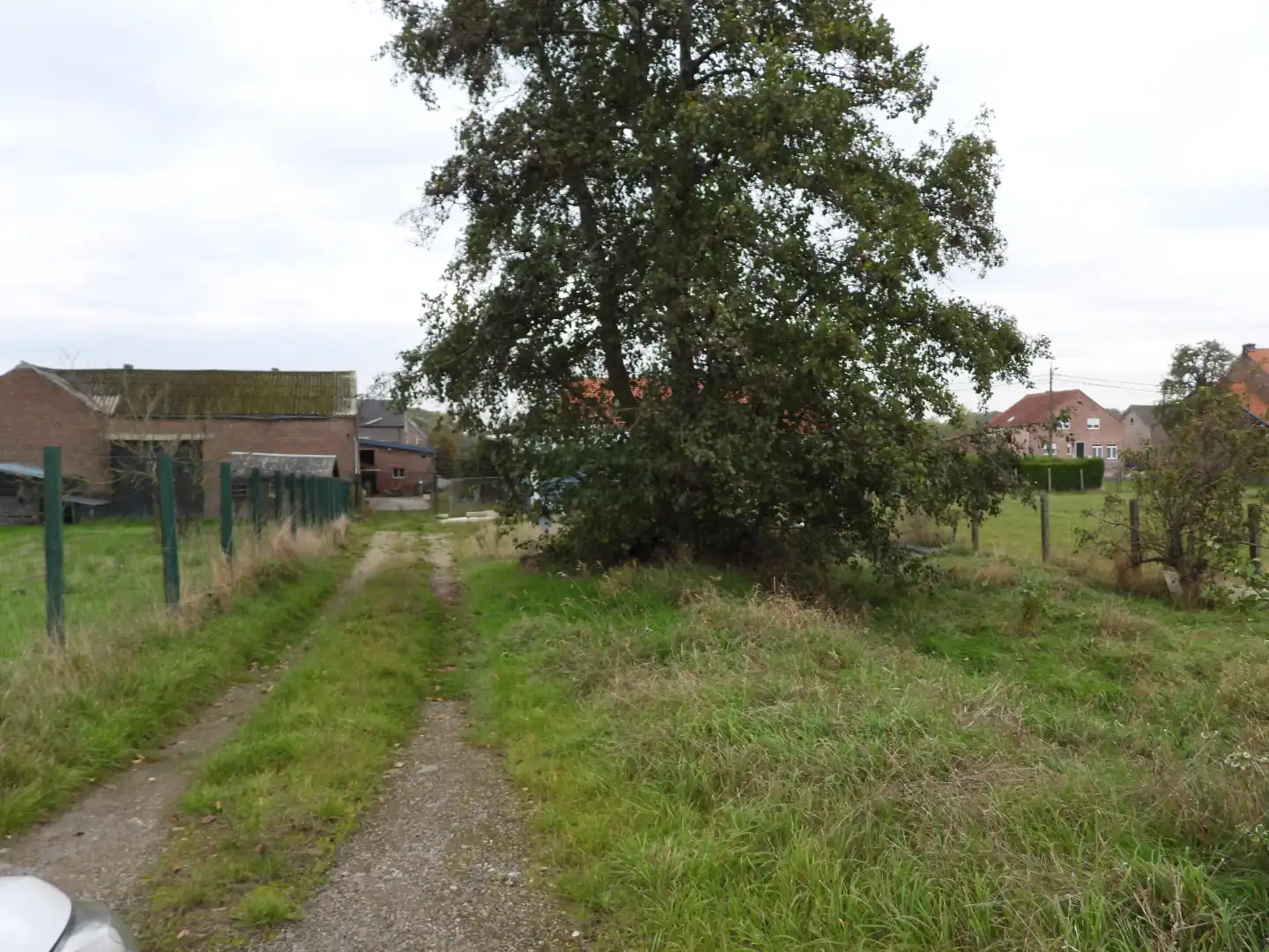 TE KOOP – Charmante hoeve aan de Grote Steenweg 187 in Drieslinter foto 4