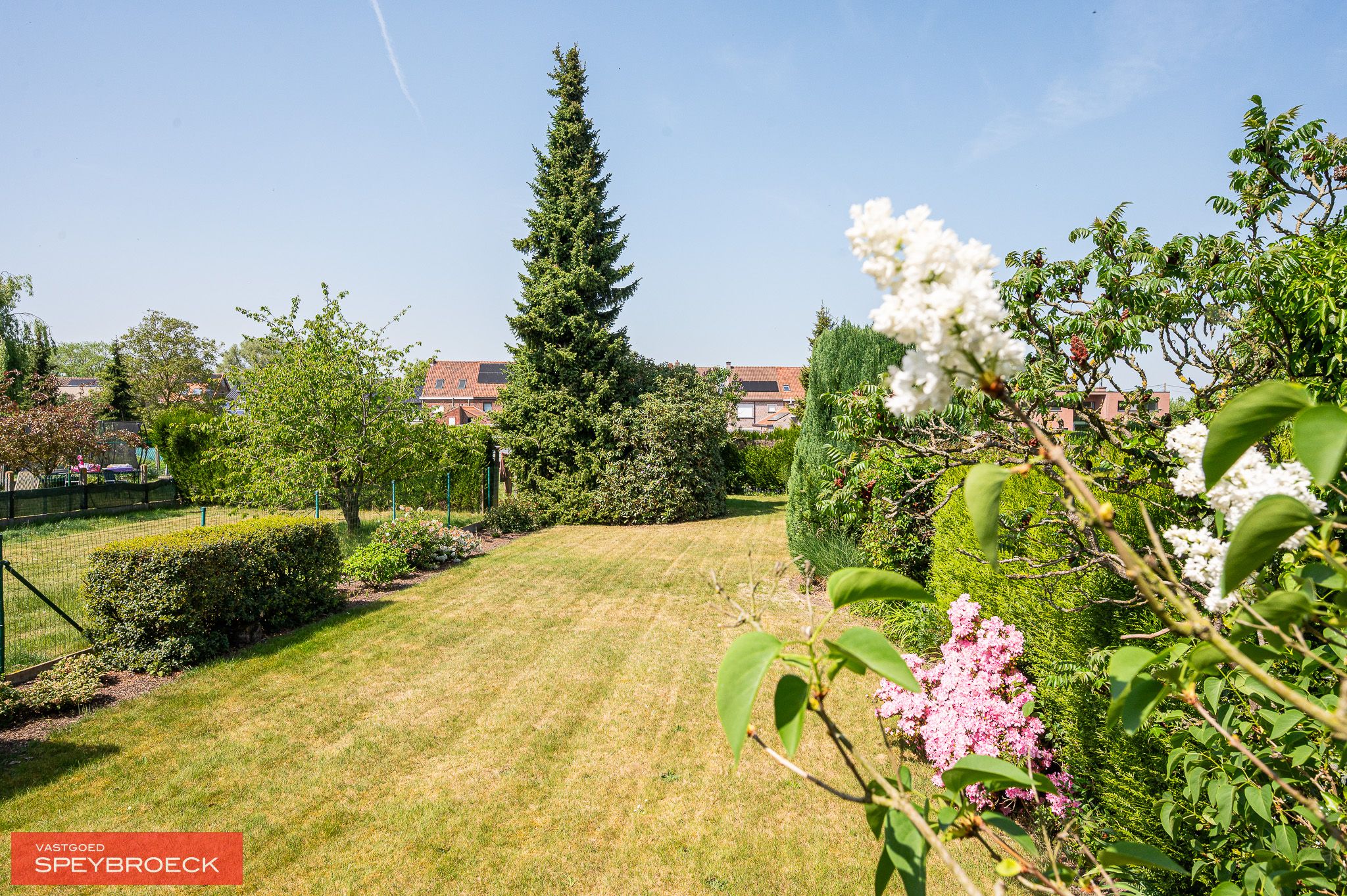 TE KOOP in Asper aan de P. Ceuterickstraat 29 foto 9
