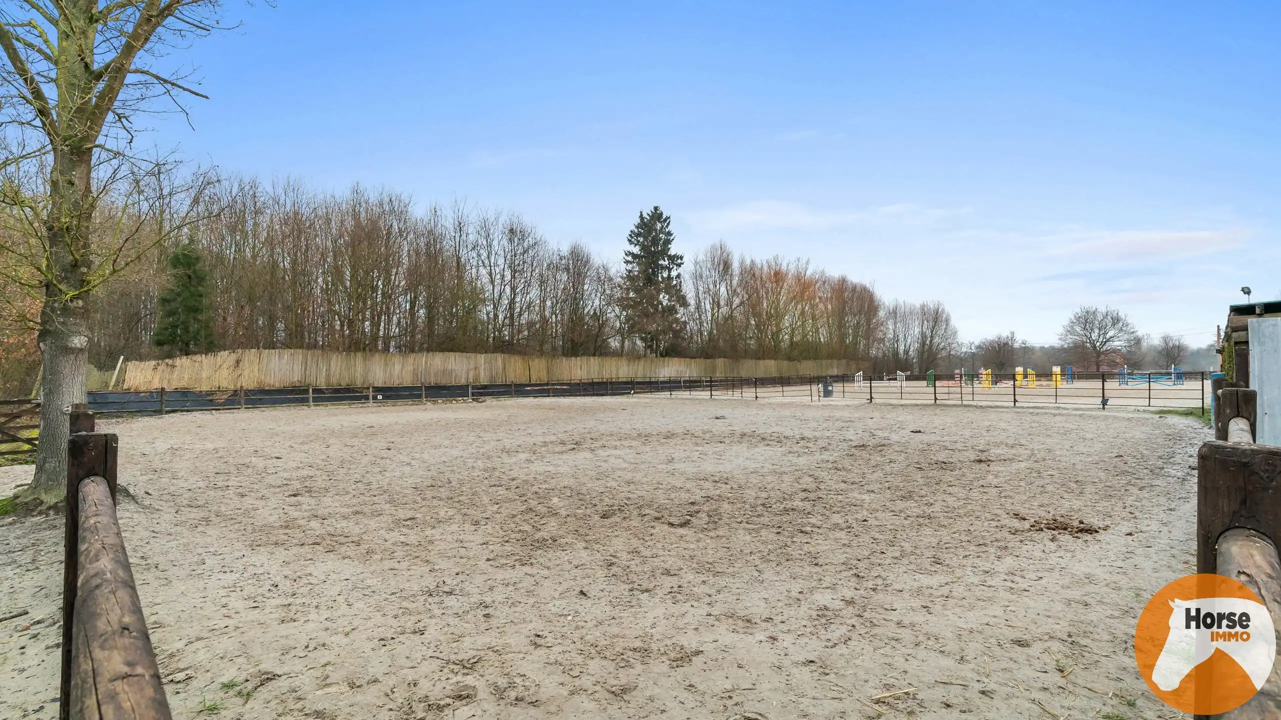 HASSELT (Kortessem) - Manege met veel potentieel! foto 12