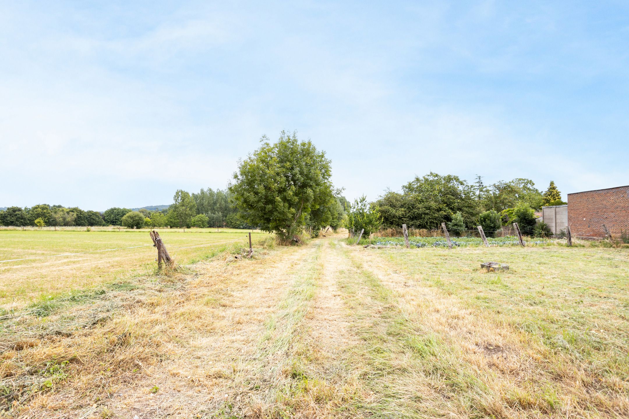 Fantastisch gelegen bouwgrond voor 3 woningen in het groen! foto 9