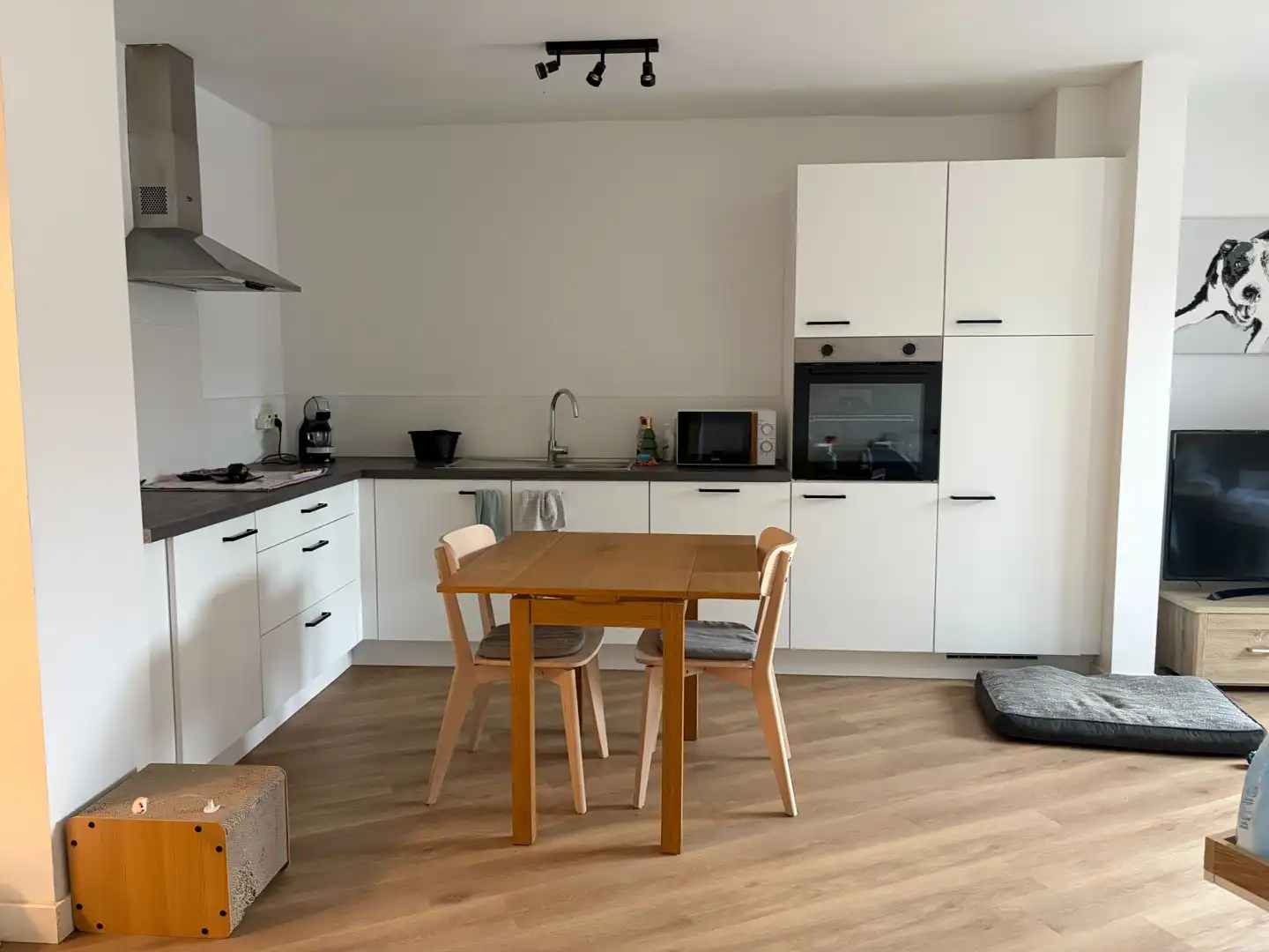 Appartement te huur Brugsesteenweg 91B/001 - 9900 Eeklo
