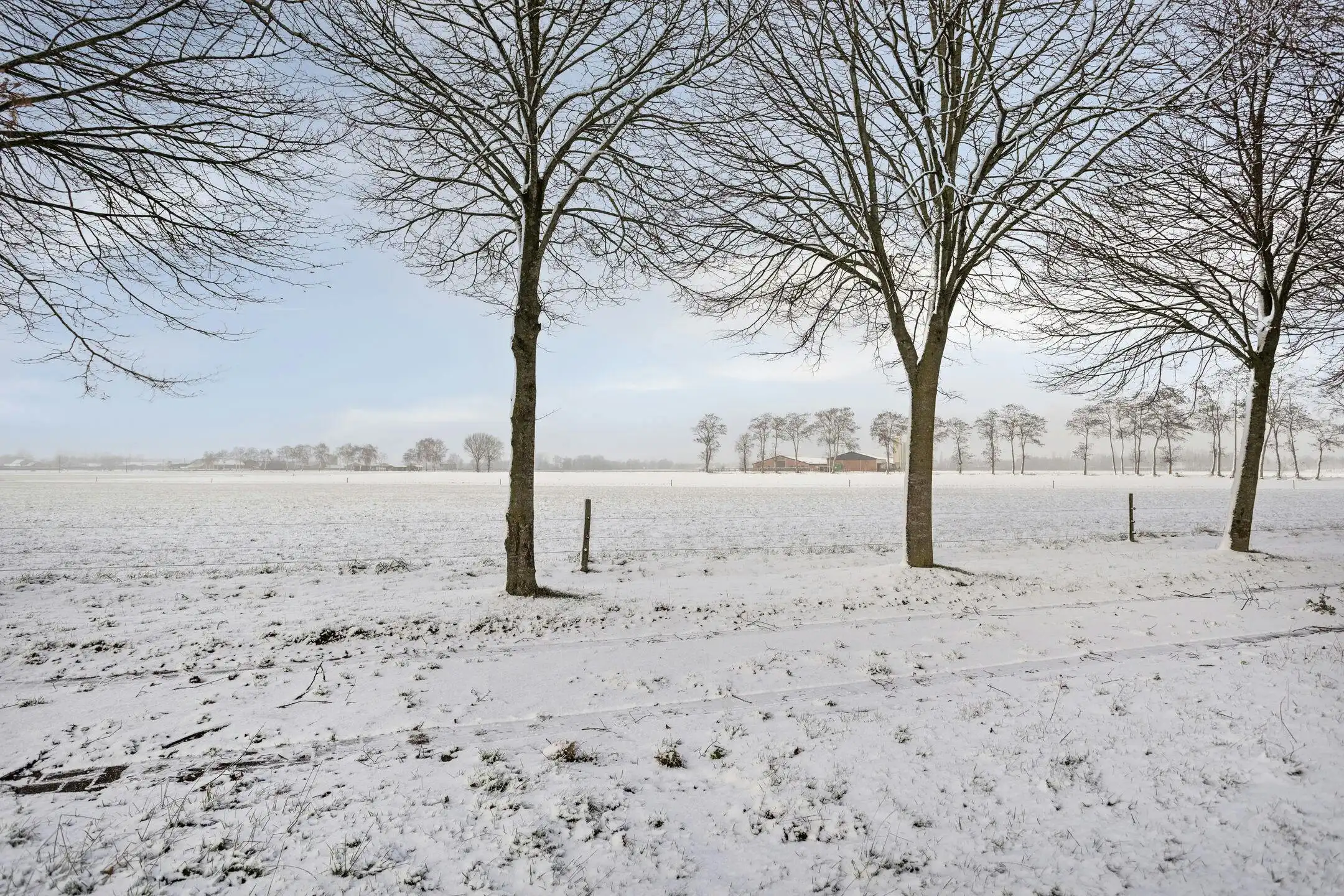 Halfopen bebouwing met 3 slaapkamers te koop in Wuustwezel! foto 47