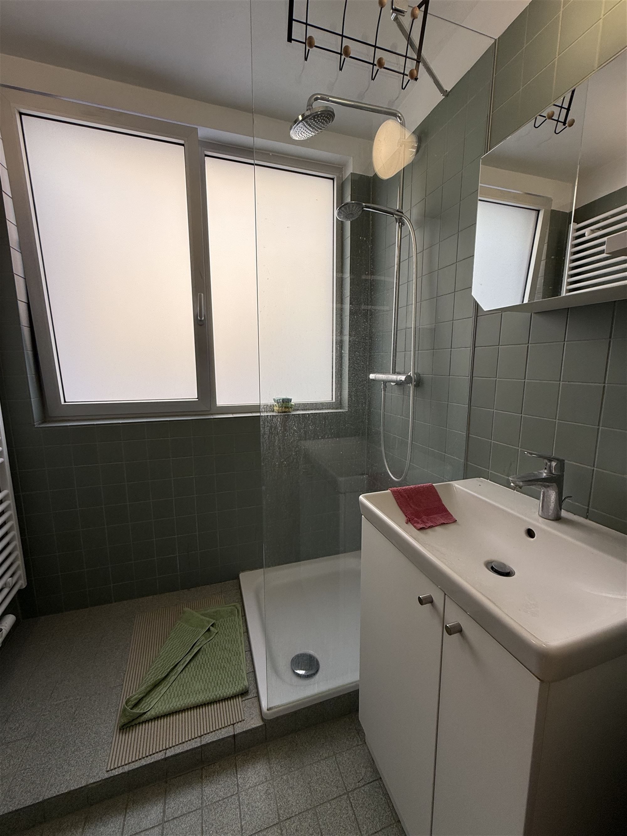 Ruim 3 slaapkamer appartement in centrum Brussel foto 10
