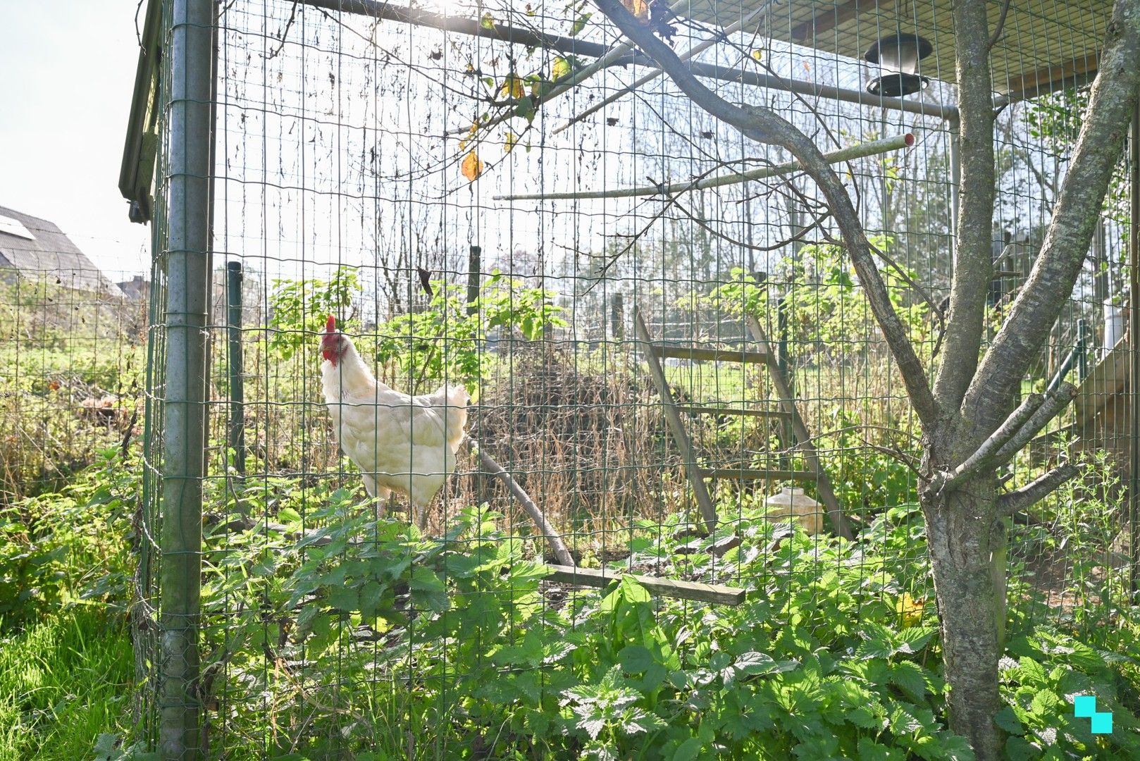 Landelijk gelegen villa in doodlopende straat te Heldergem foto 37