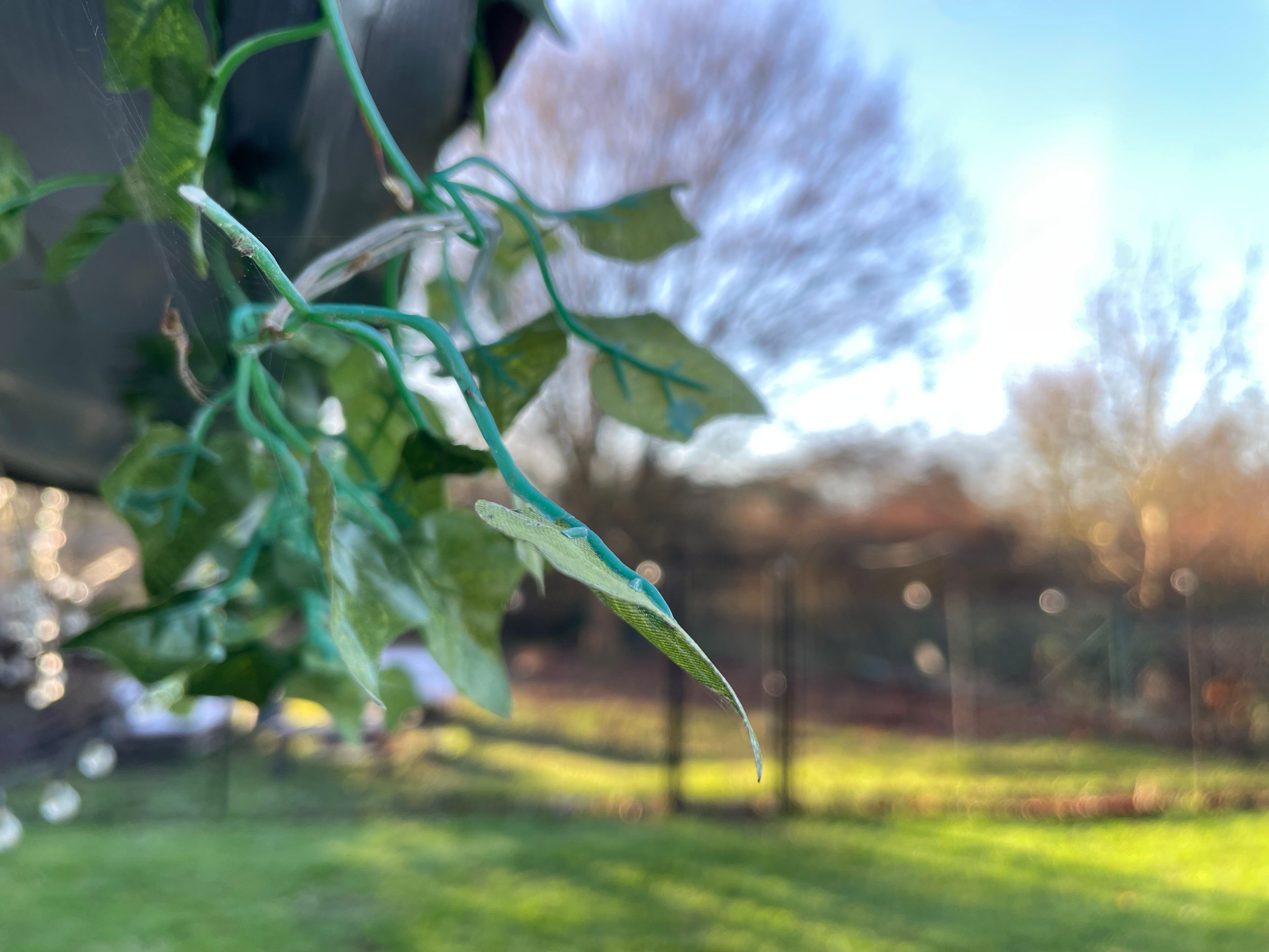 Fantastische en super gezellige stadswoning volledig instapklaar foto 35