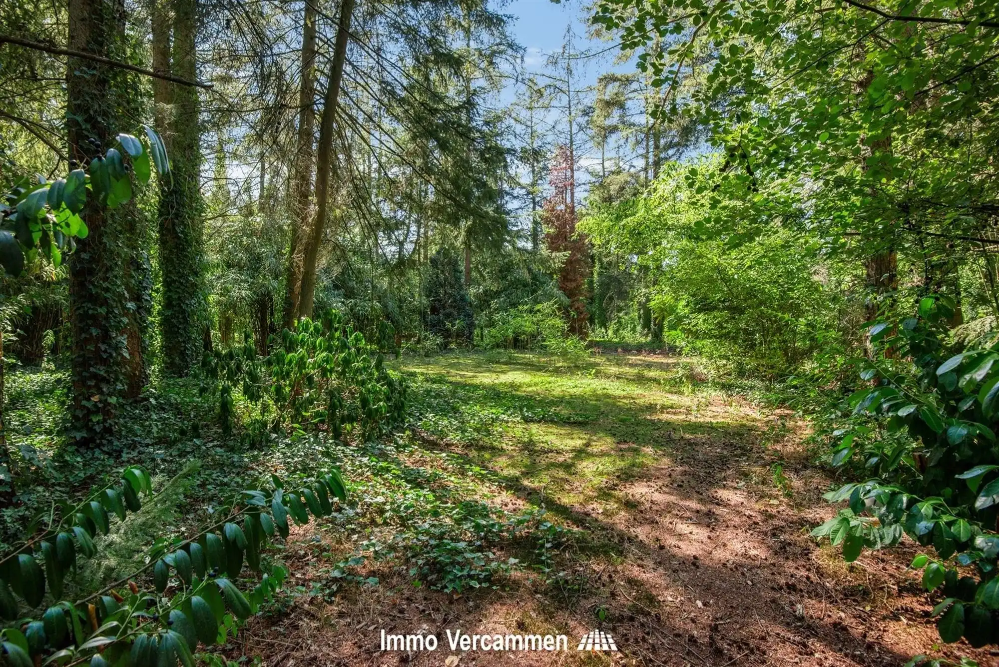 Zonevreemde woning op een residentiële locatie te Keerbergen foto 6