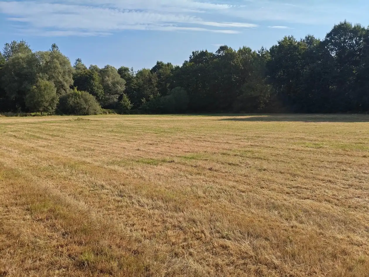 Vrije blok landbouwgrond te koop in Holsbeek foto 5