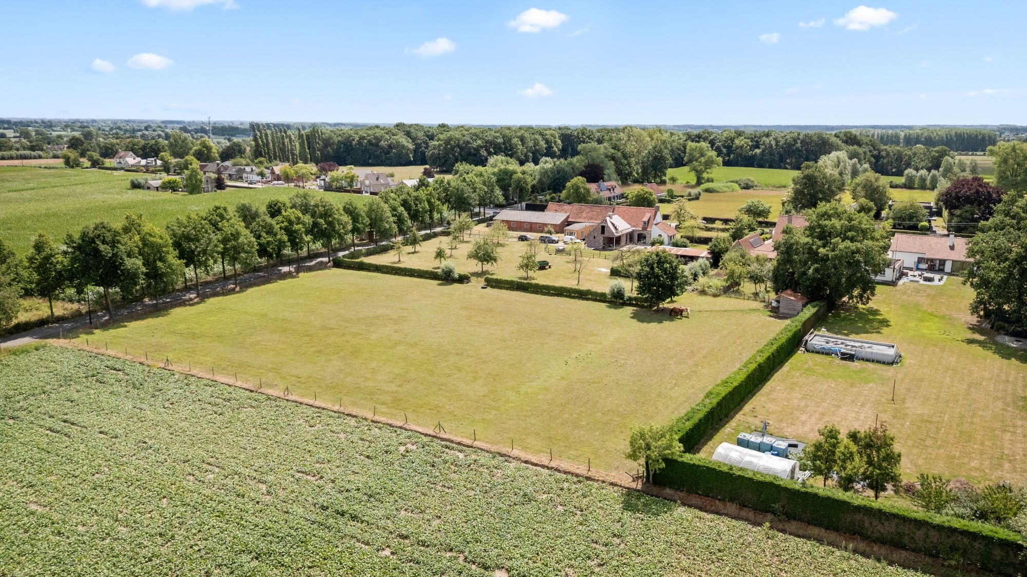 Charmante hoeve met paardenstallingen en schuur op 11.908 m² vlakbij het Drongengoed foto 7