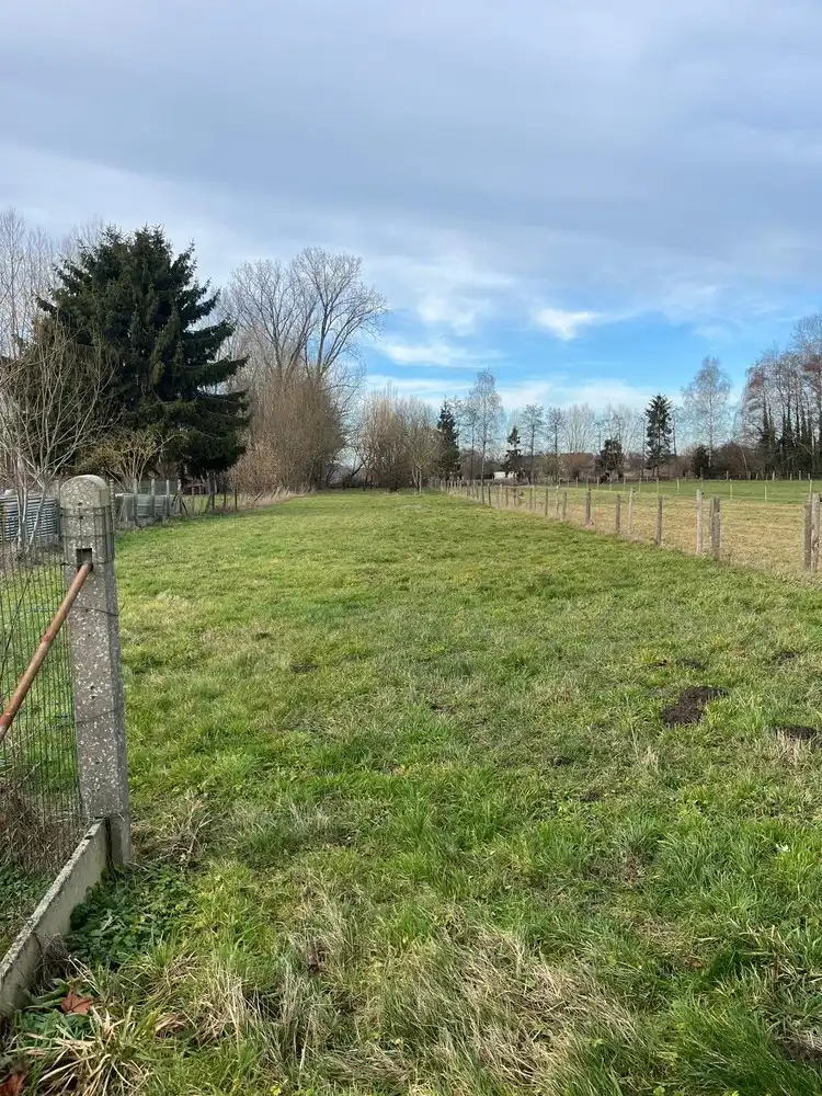 Huis te koop foto 15