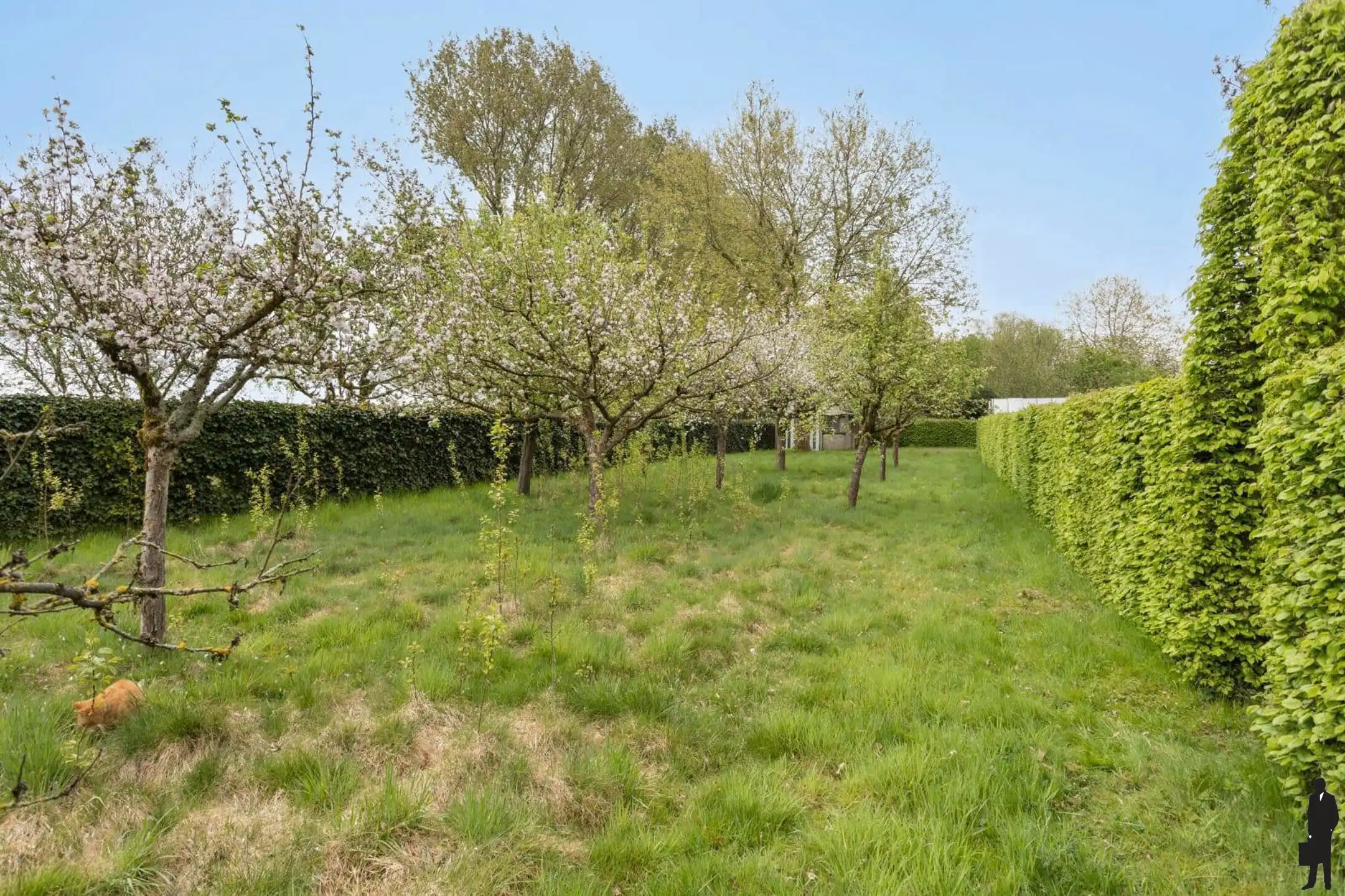 Mooi gelegen perceel voor zonevreemde woning (ca. 2343 m²) foto 10