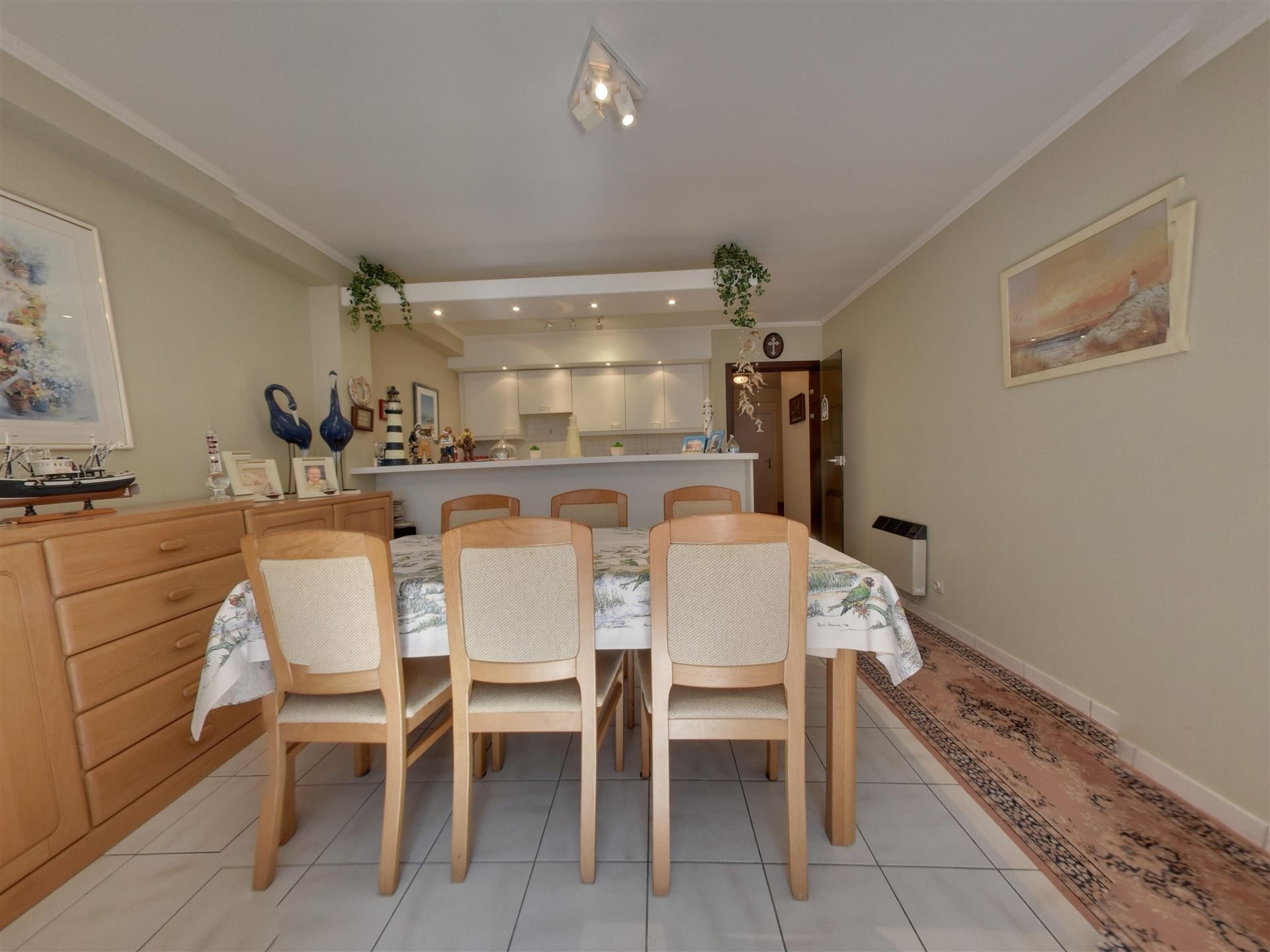 appartement met 2 terrassen foto 3