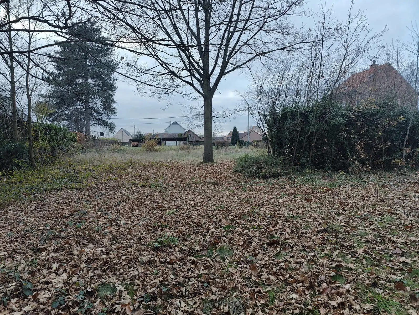 Zeer interessante bouwgrond op toplocatie foto 9