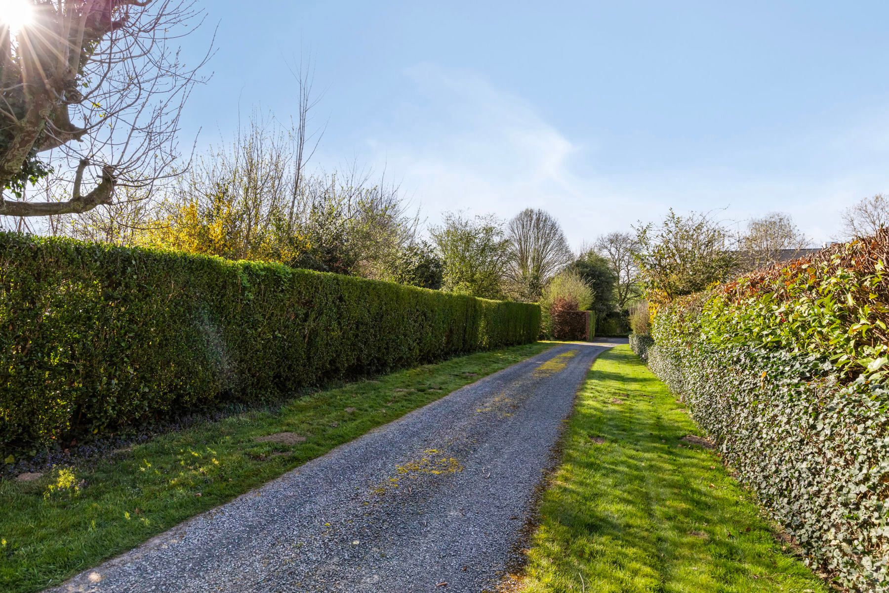 Uitzonderlijk perceel bouwgrond met afgebrande woning foto 2