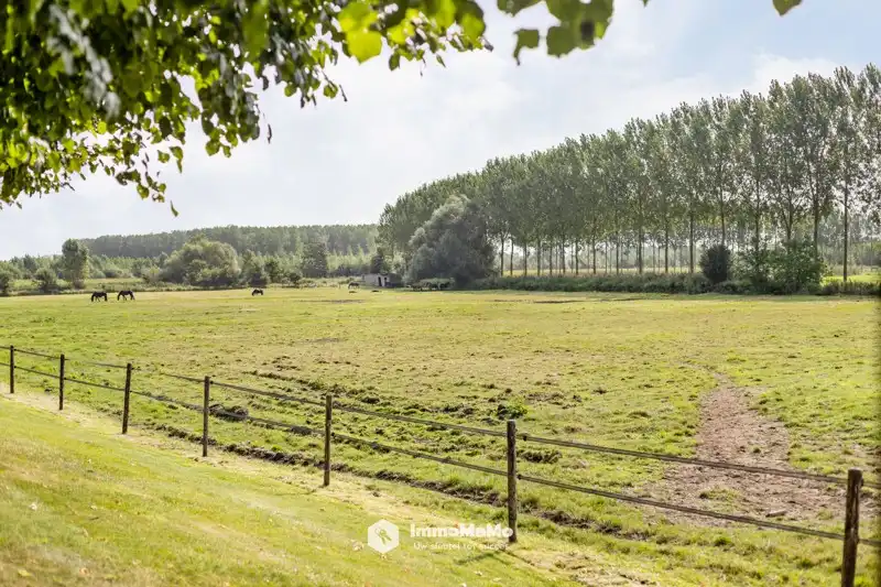 UNIEKE VILLA MET BINNENZWEMBAD EN PAARDENSTALLEN OP EEN TOPLOCATIE TE KOOP IN MENDONK (GENT) foto 61