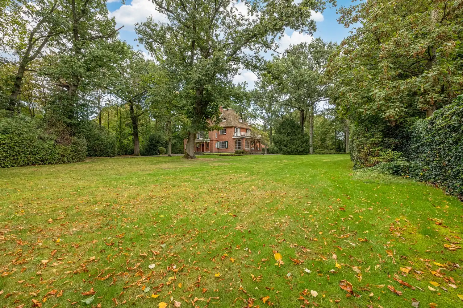 Karaktervolle te renoveren rietgedekte villa op een uitzonderlijk parkdomein van 9127 m² in Vriesdonk foto 6