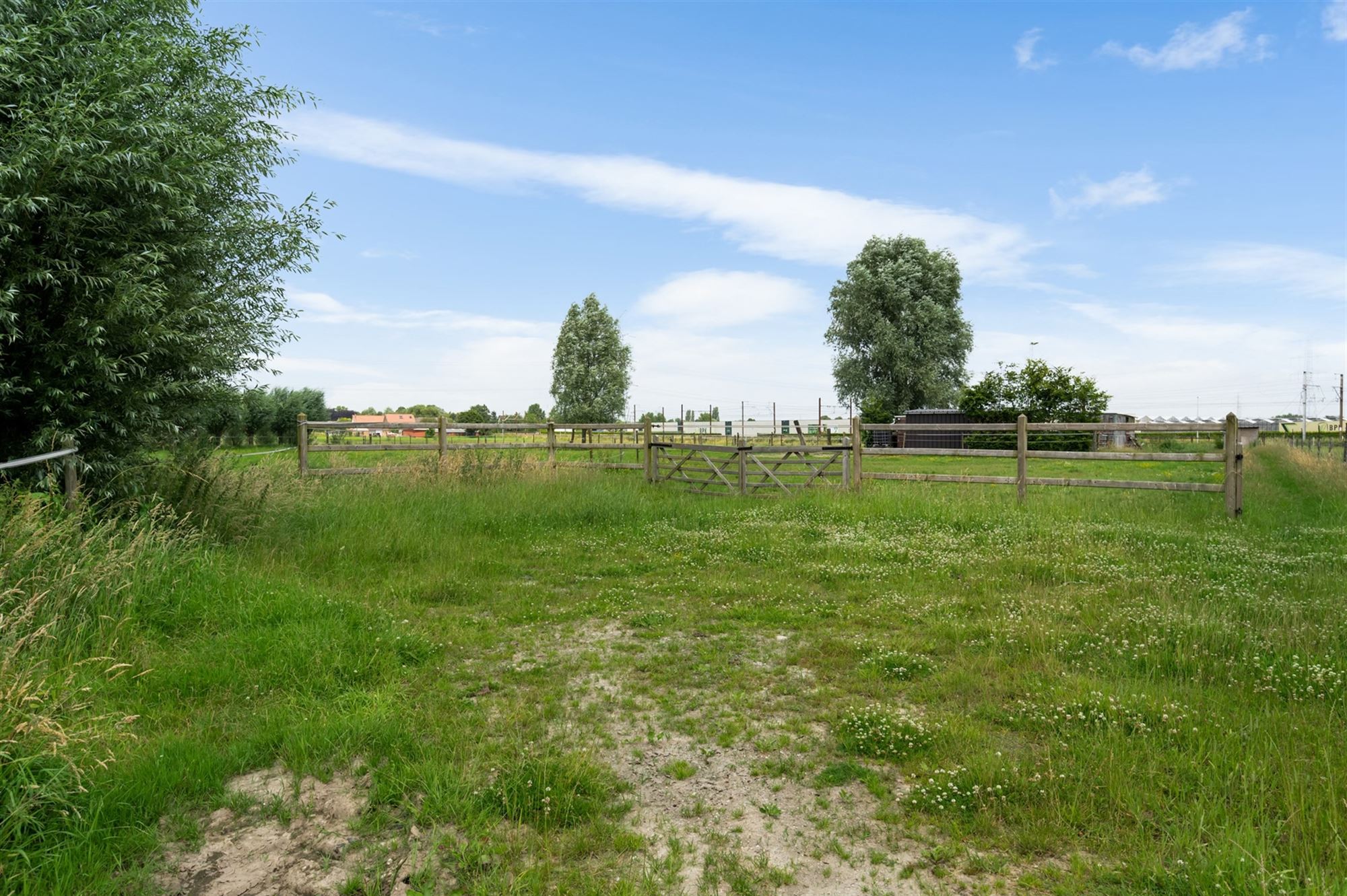 Prachtige paardenweide met stallen en piste foto 7