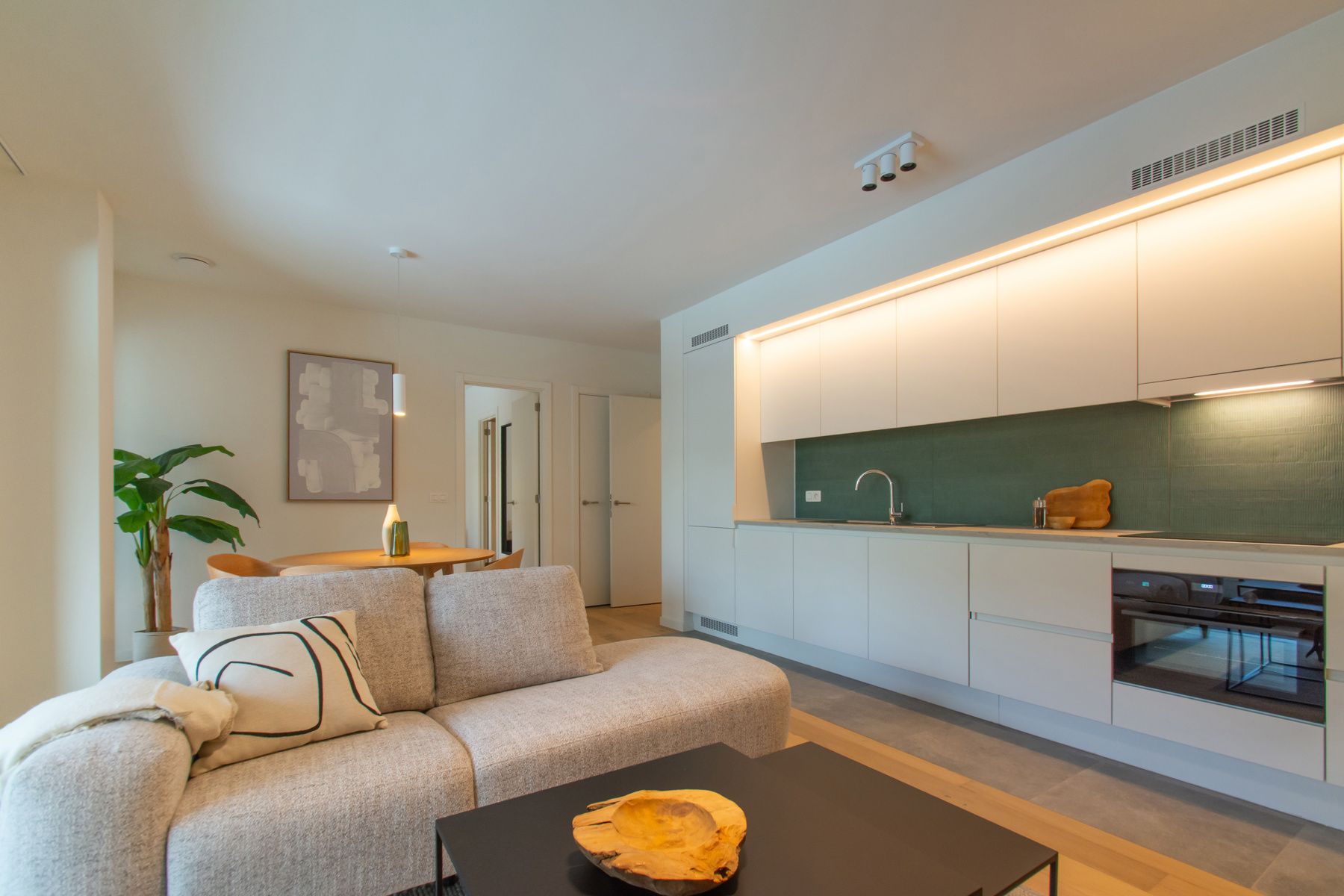 appartement 1 chambre 1 salle de bain grande terrasse foto 6