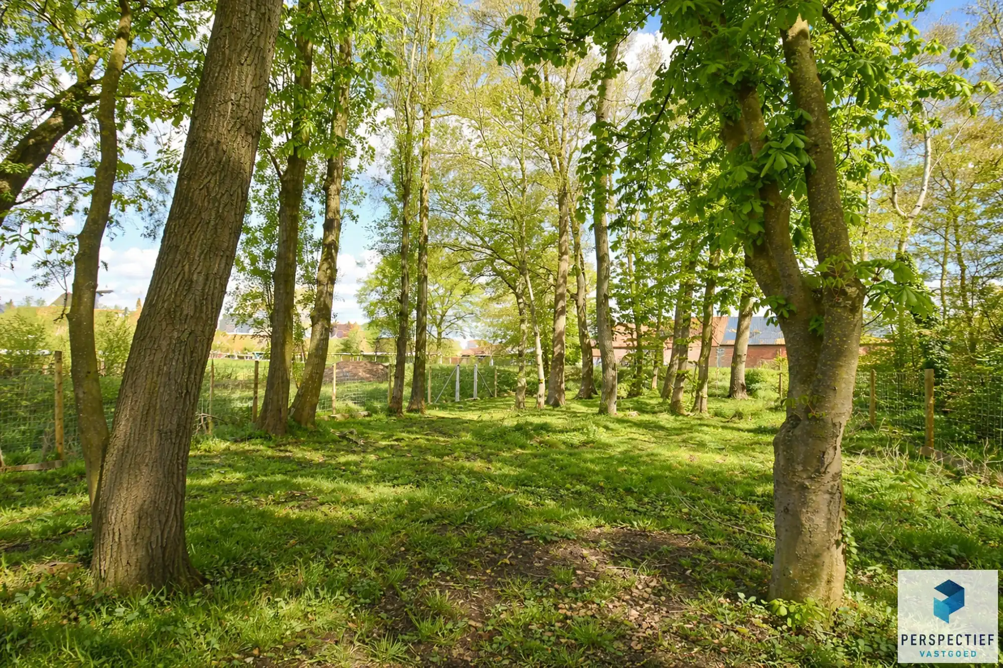 Landelijk gelegen ruime woning met tuin, kleine weide & bijgebouw gelegen in Oedelem op  1 365 m² foto 4