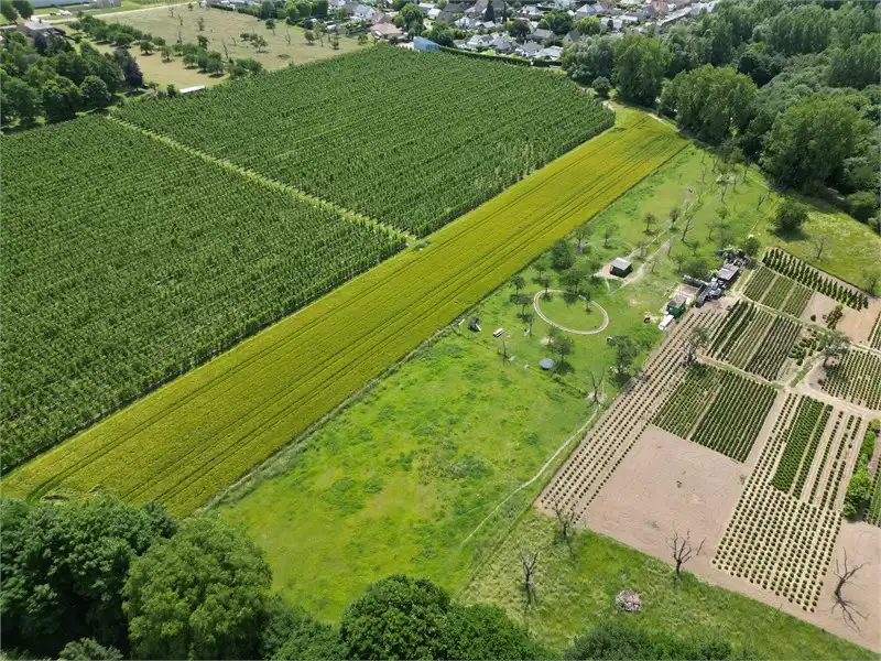 WEIDE VAN 1H5A68CA IN ORDINGEN foto 2