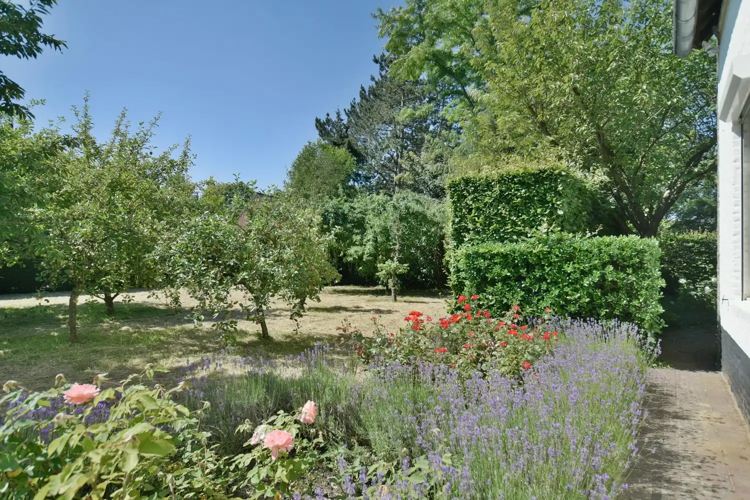 Karaktervolle hoeve met schuur, binnenkoer en prachtige tuin vlakbij Maastricht foto 13