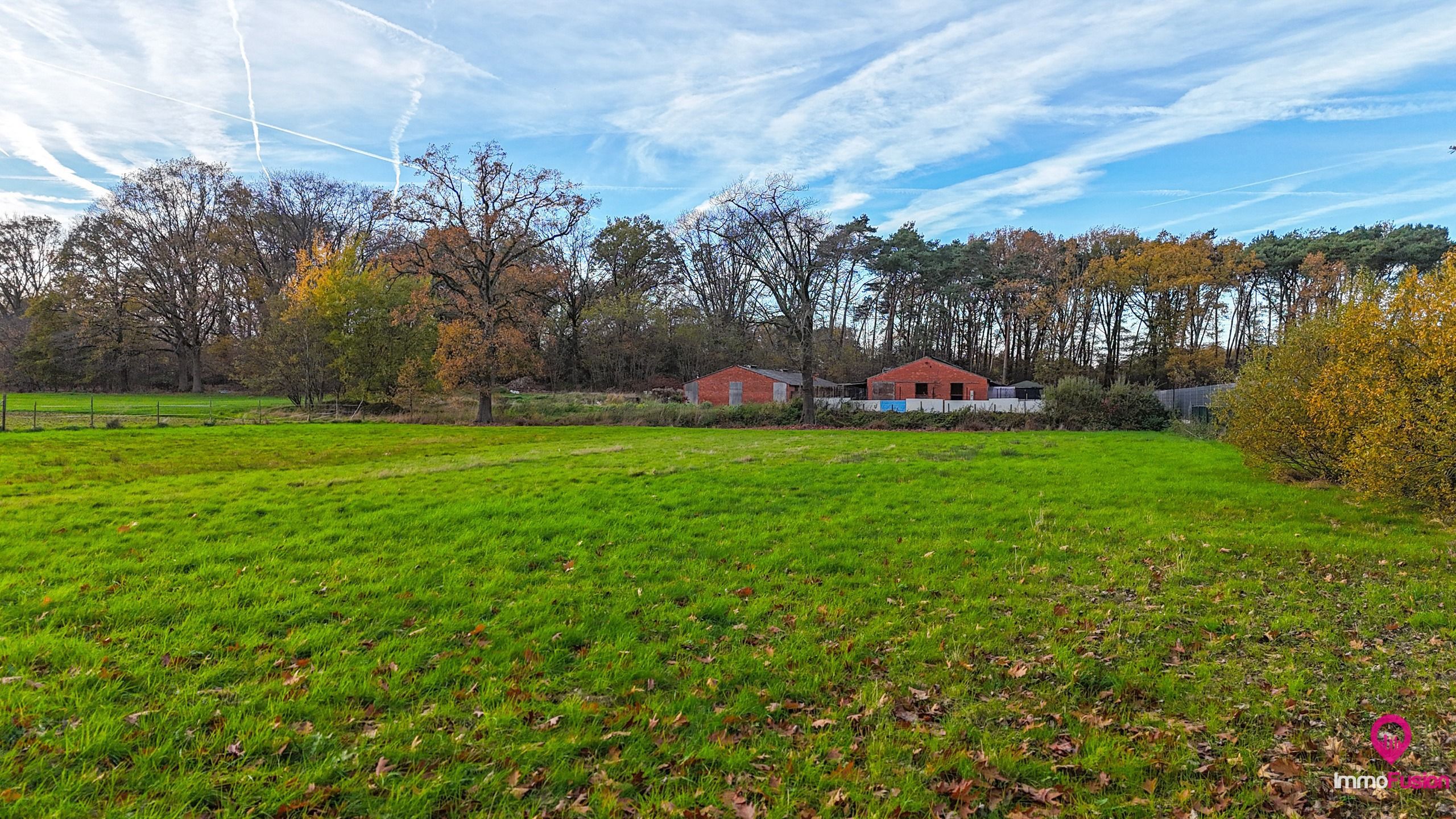 Exclusieve hoeve op 40are met bosrijke ligging te Paal! foto 57