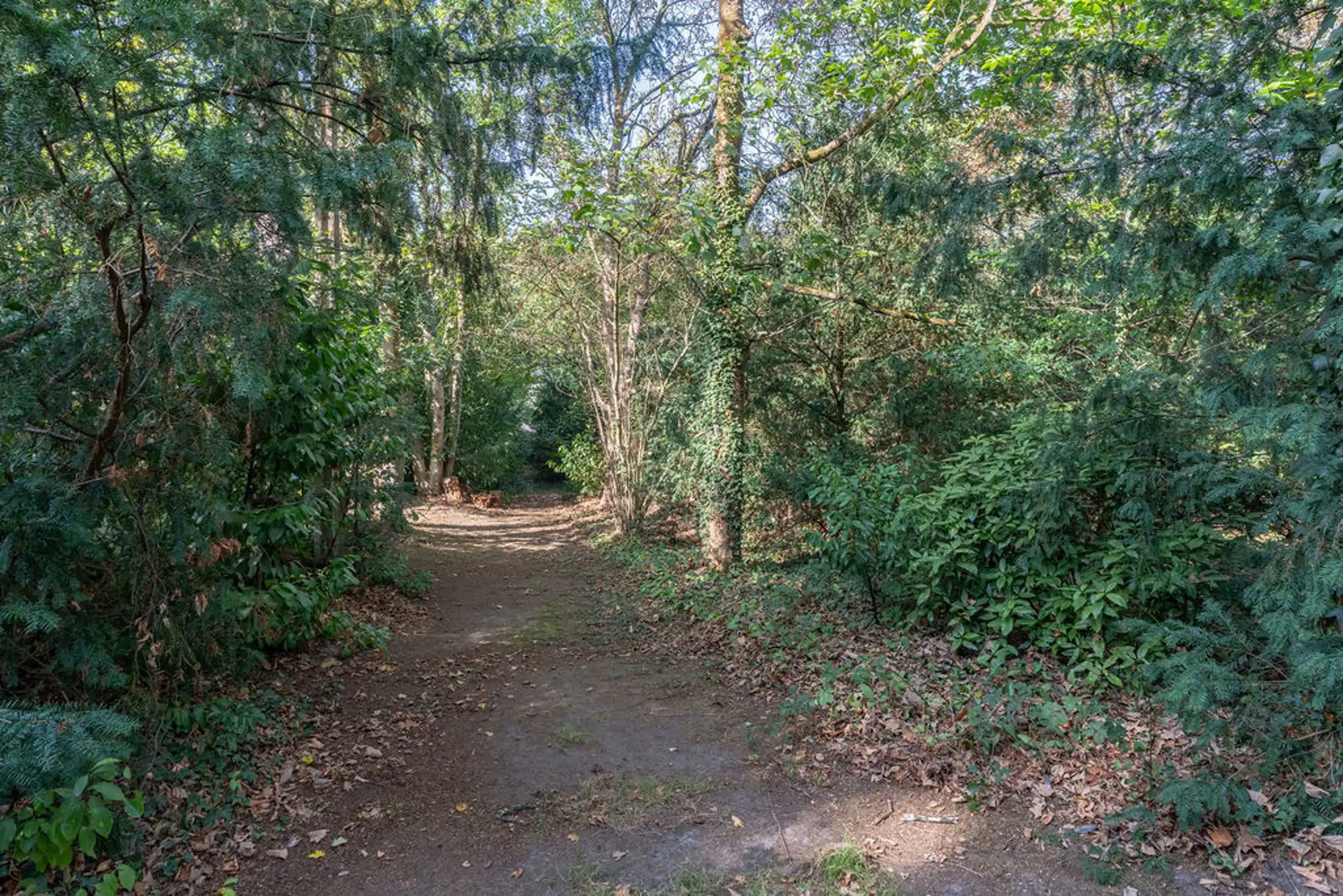 Bouwgrond / grondig te renoveren woning op 7.106m² grond. foto 15