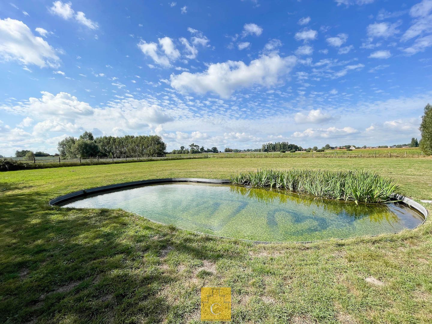 sfeervol landhuis met schuur, garage, zwemvijver en poolhouse, 3 paardenstallen, akkerland en weiland. Idyllische locatie te Torhout (Sint-Henricus), 2,55 ha foto 37