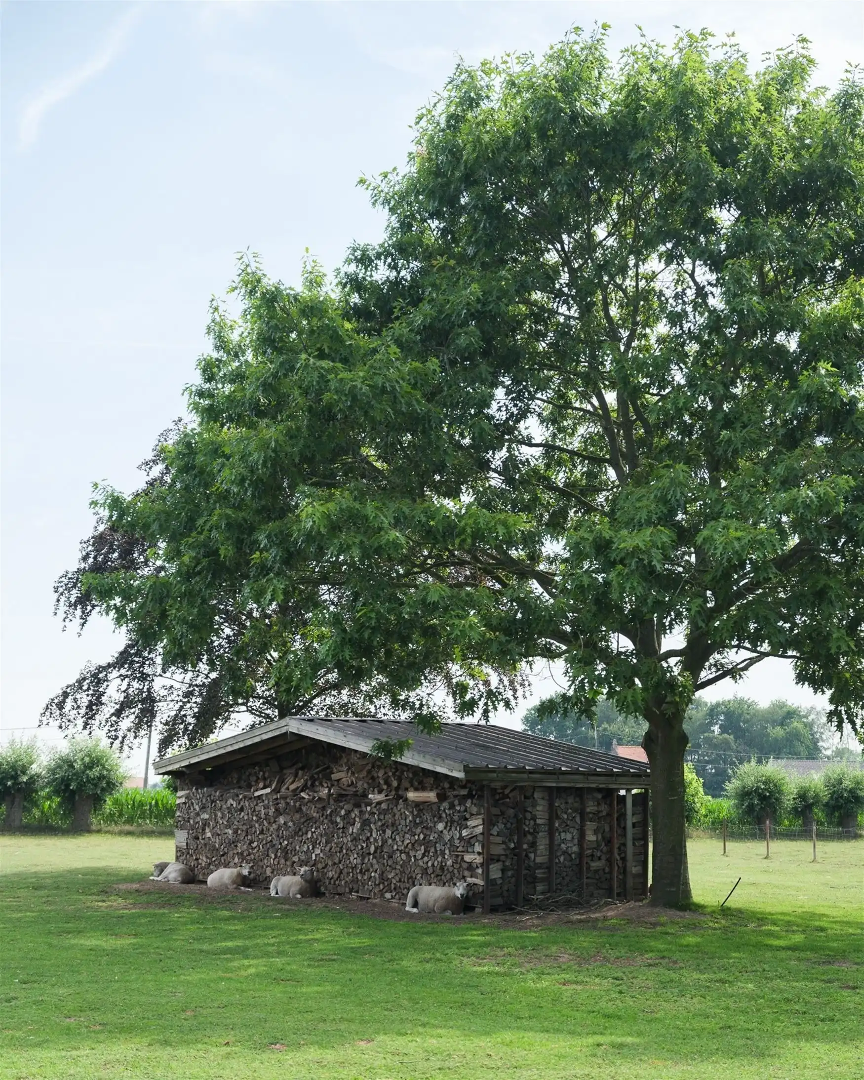 Exclusieve farmhouse te midden van de velden in Drongen foto 8