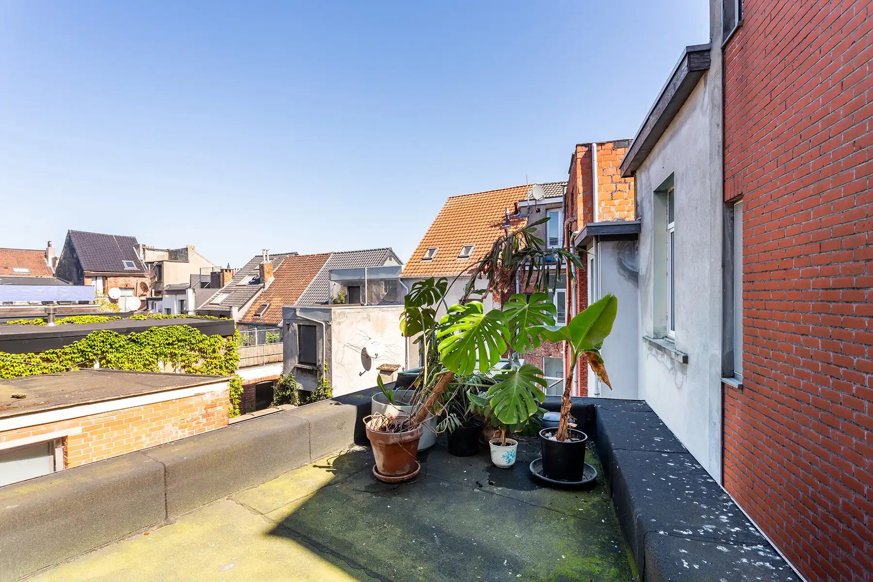 Karaktervol renovatieproject op toplocatie in Borgerhout! foto 23