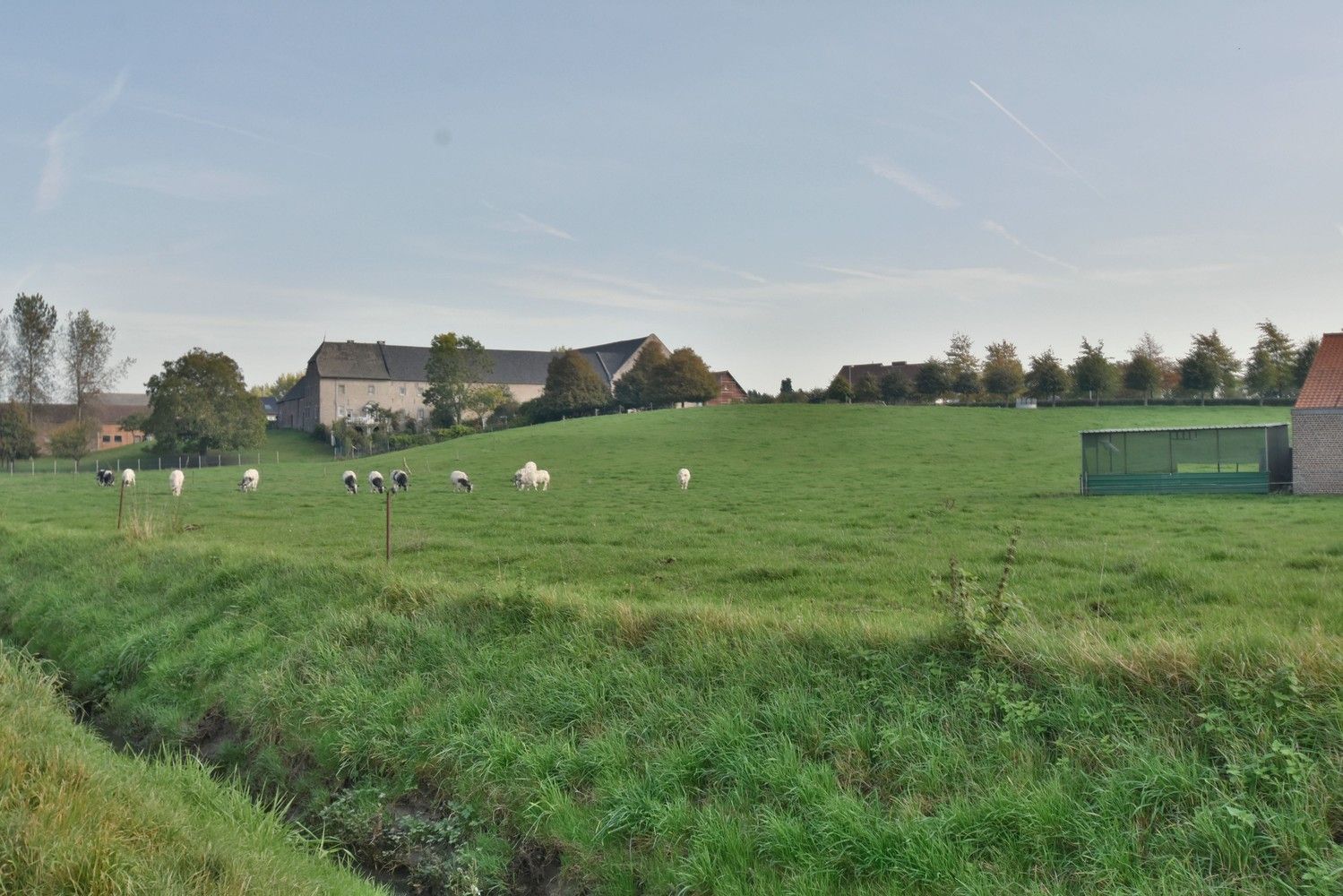 Luxueuze hoeve met schitterende binnenplaats en zwemvijver op een idyllische, natuurrijke locatie te Tongeren foto 8