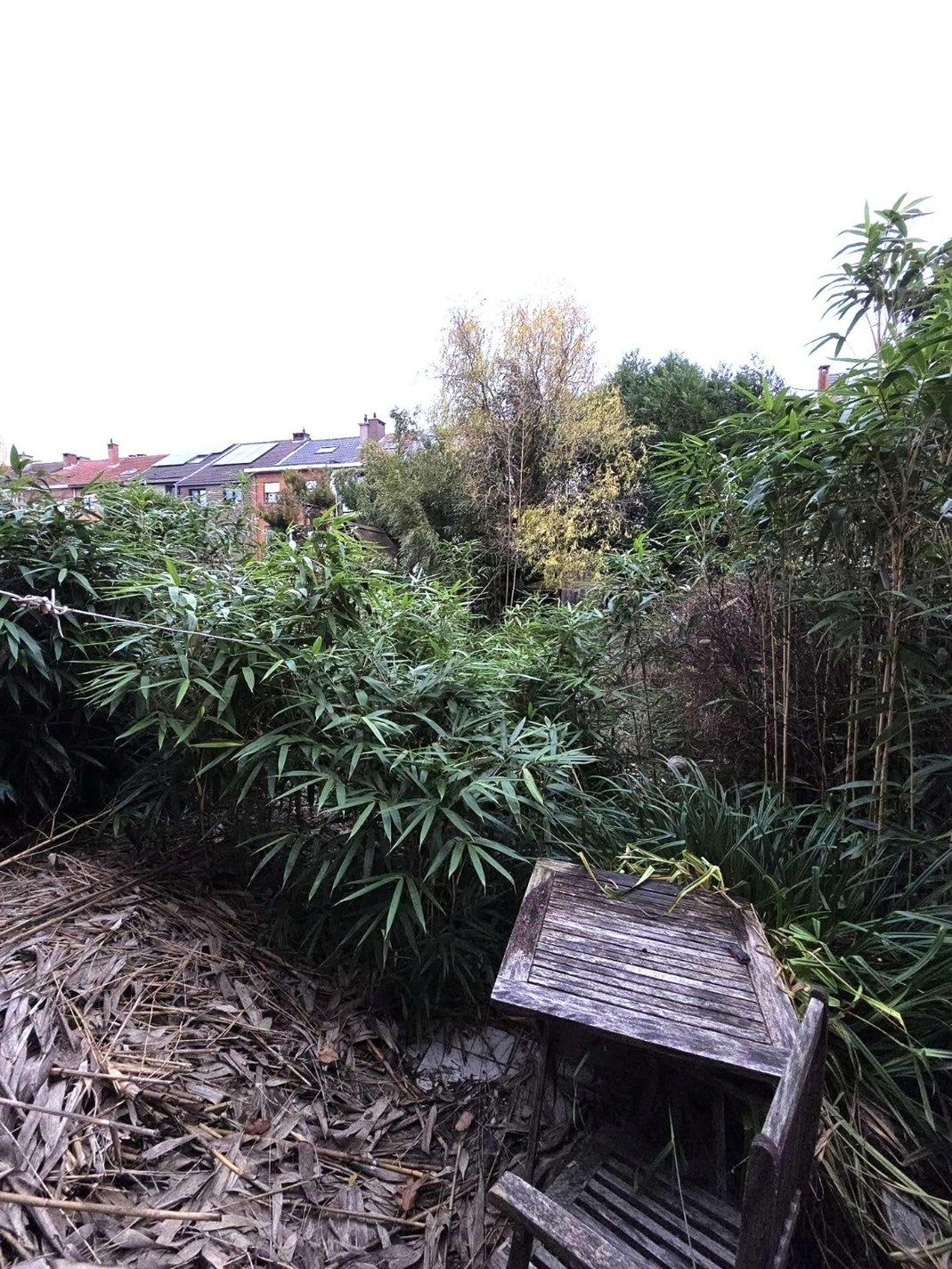 Charmante bel-etagewoning met 3 slaapkamers, ruime garage en zolder foto 13