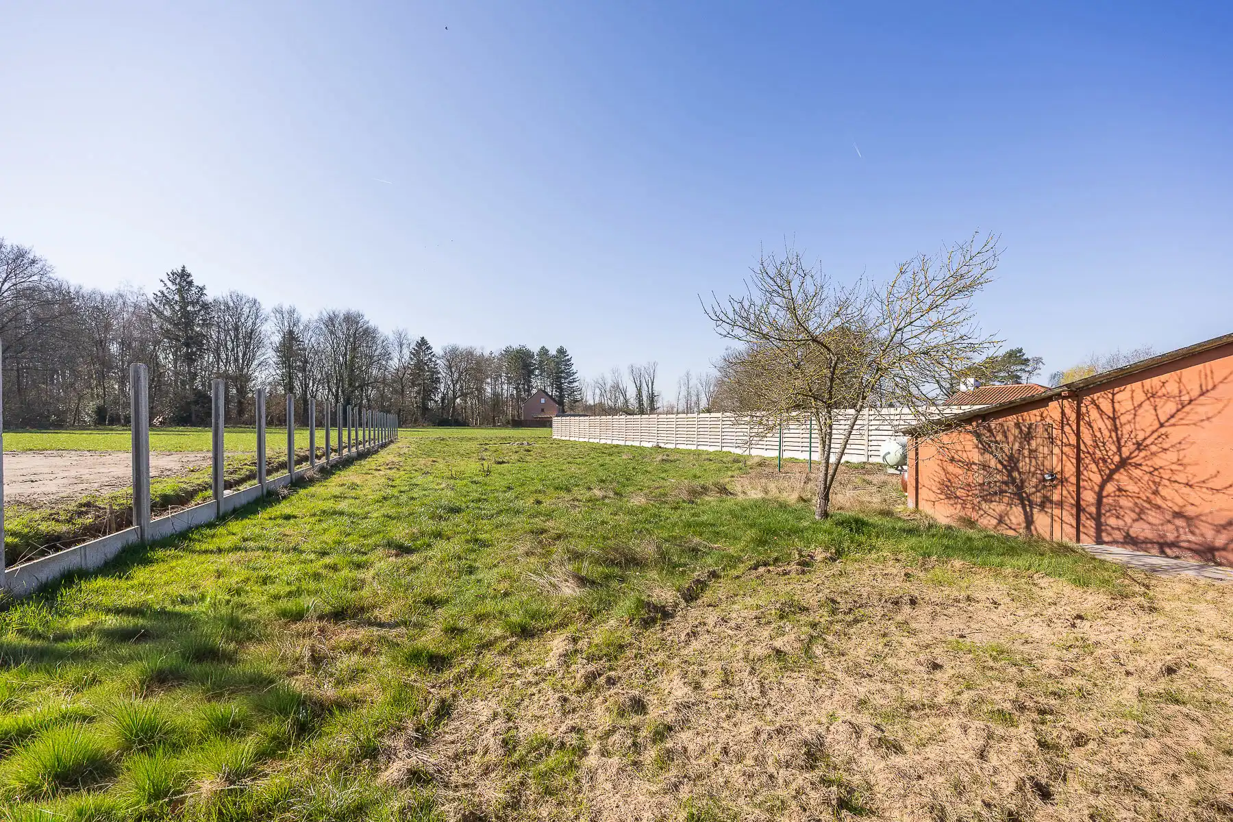 Openstaande te renoveren woning op 1214 m² te Begijnendijk foto 26