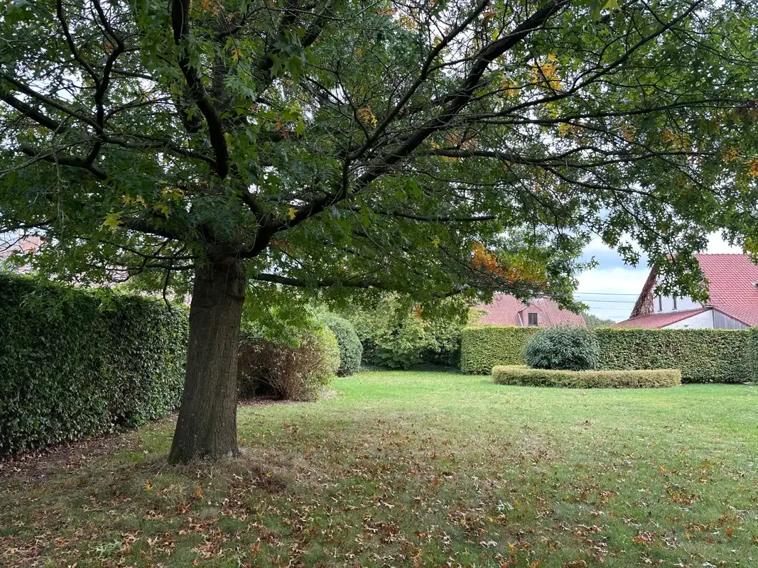 Prachtige ZW gerichte bouwgrond van 941 m² met volwassen tuin. foto 4