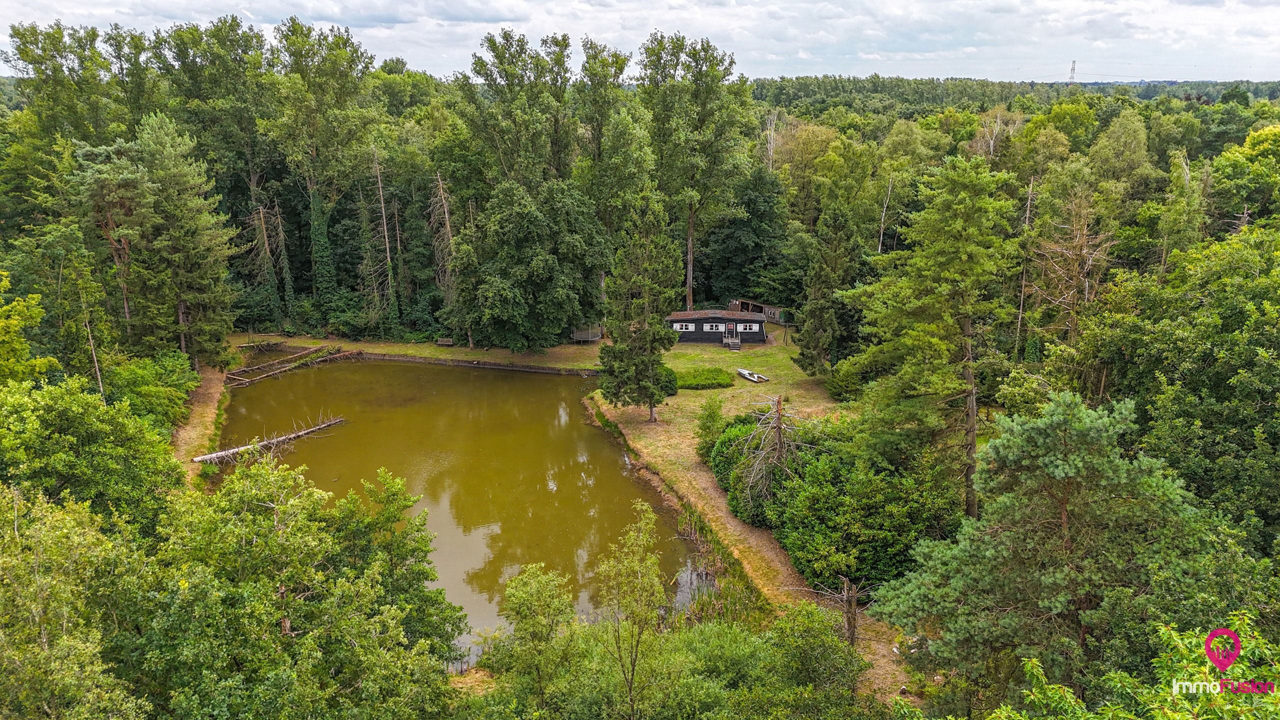 Droom buitenverblijf in Hasselt voor natuurliefhebbers!  foto 6