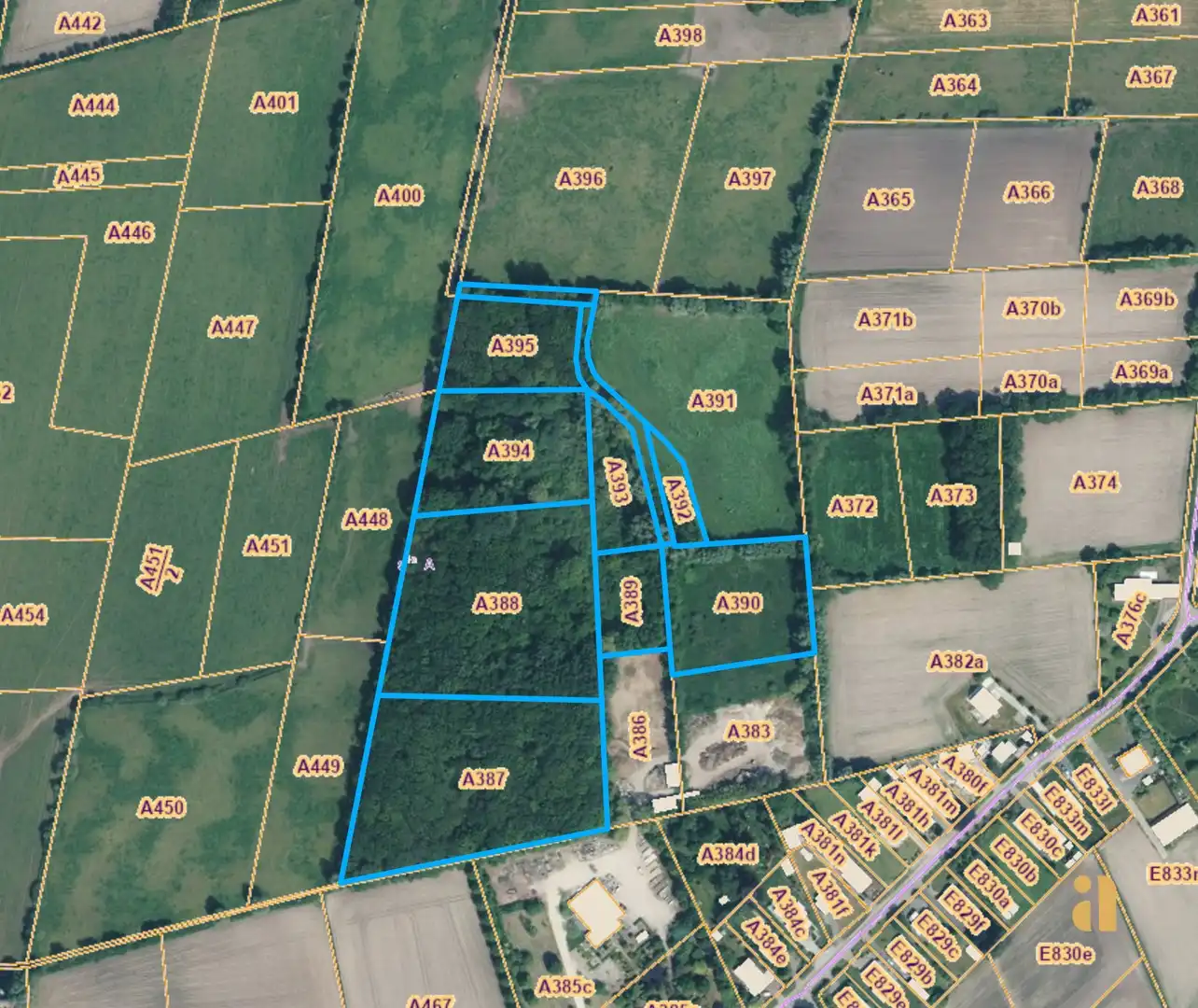 Bosperceel met aangrenzend weiland in landelijke omgeving foto 2