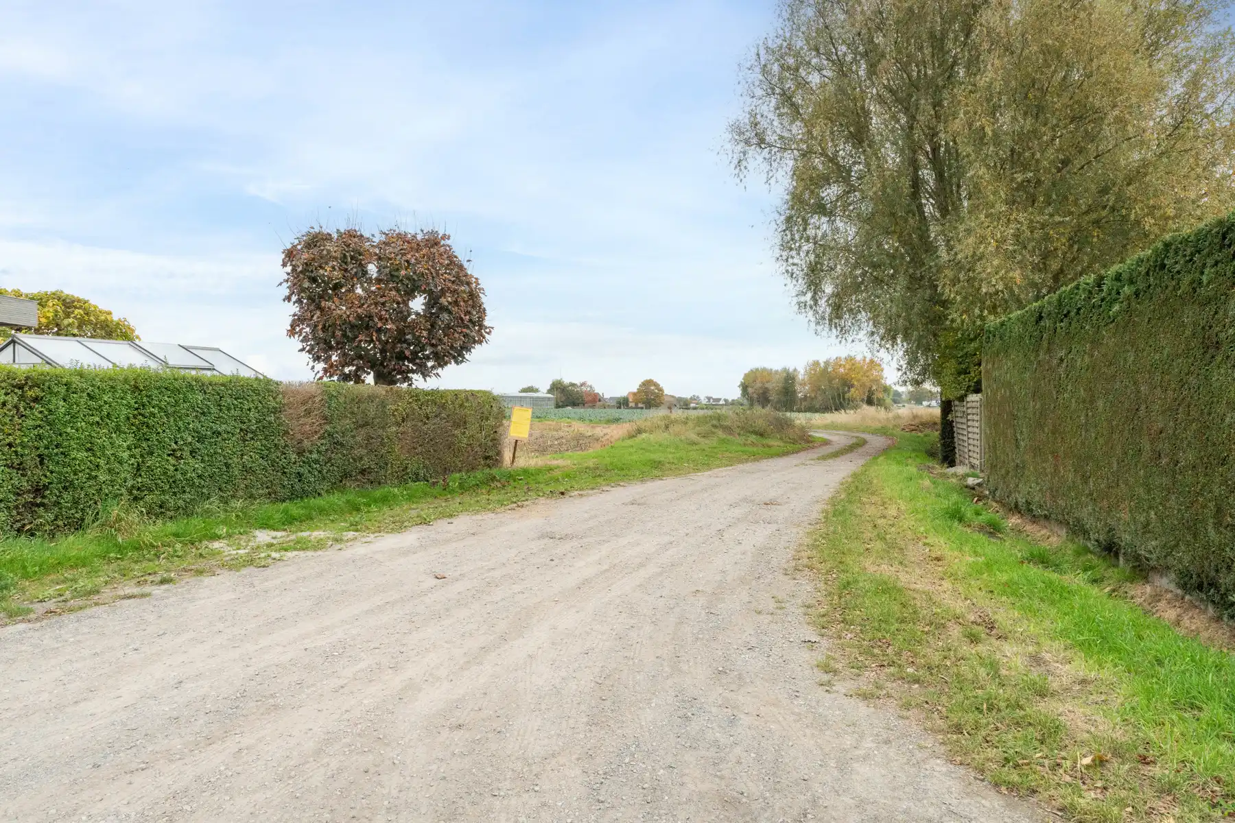 Landhuis met 2 magazijnen, rustig gelegen op 5.388 m² foto 33