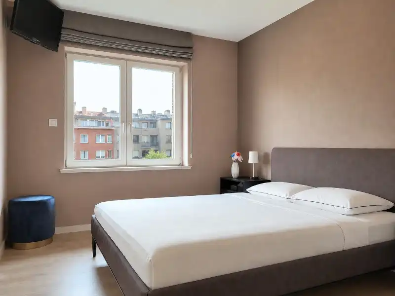Gerenoveerd 2-slaapkamer appartement te koop foto 5